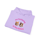 Cat Fun "Are You Staring" Hilarious Hoodie