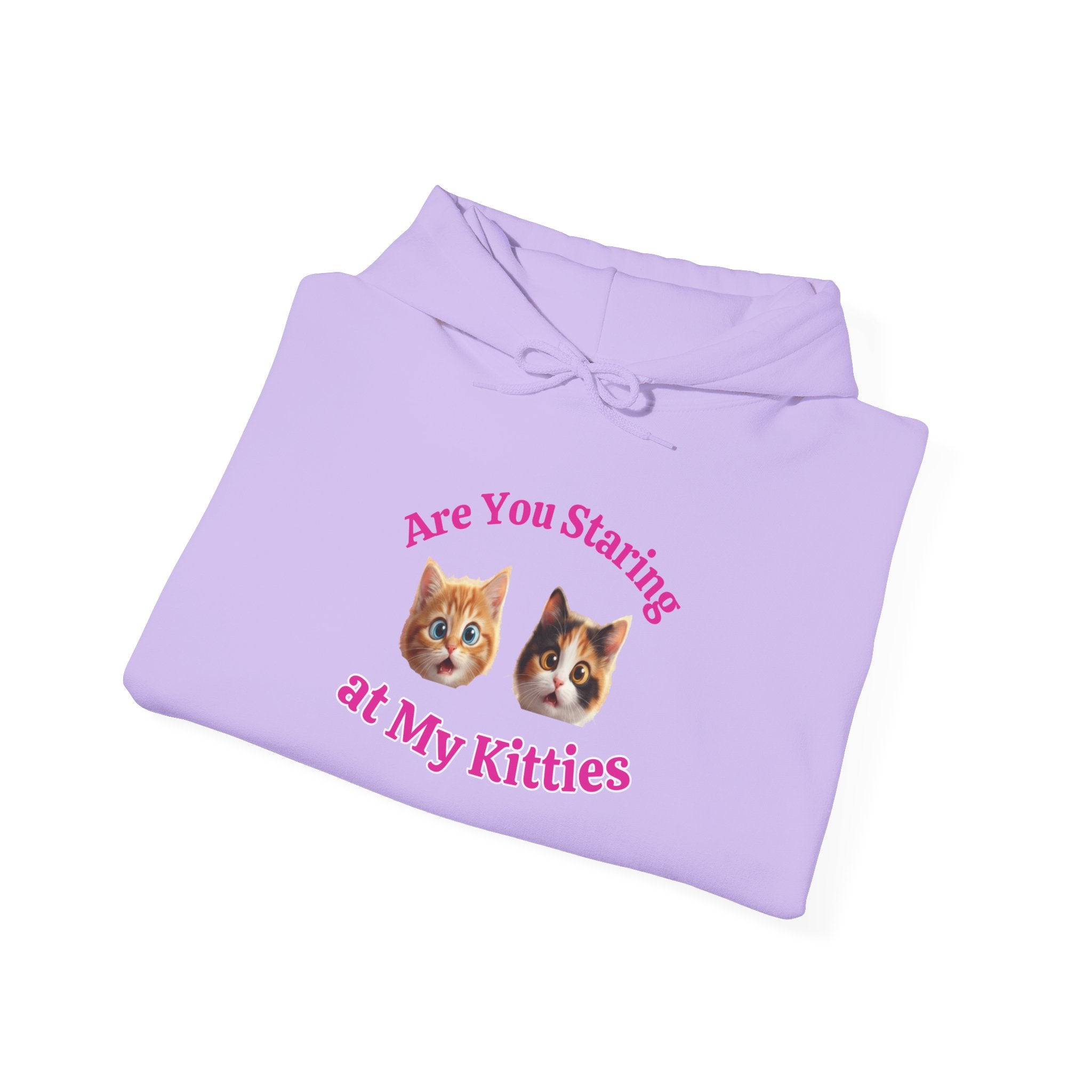Cat Fun "Are You Staring" Hilarious Hoodie