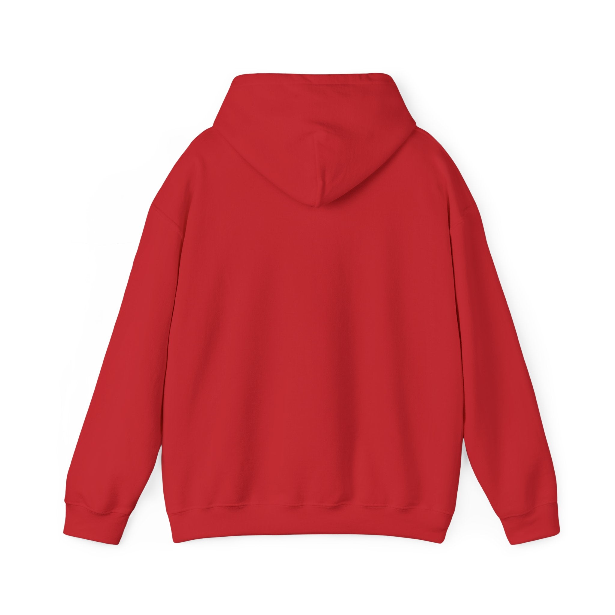 Cat Meme-This Was Bigger Online – Funny Badass Cat Hoodie