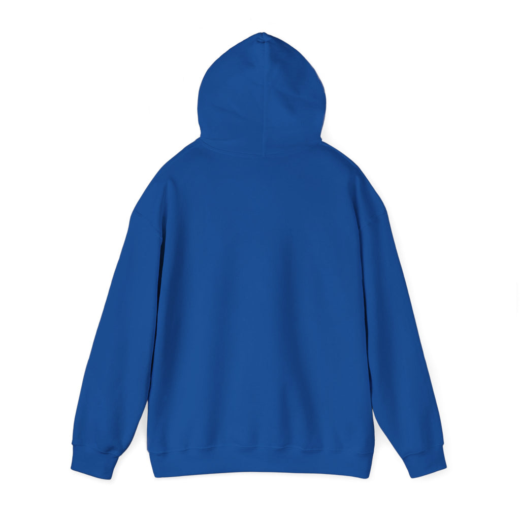 Cat Meme-Clean It or the Next One Is on Your Pillow! | Funny Cat Lover Hoodie