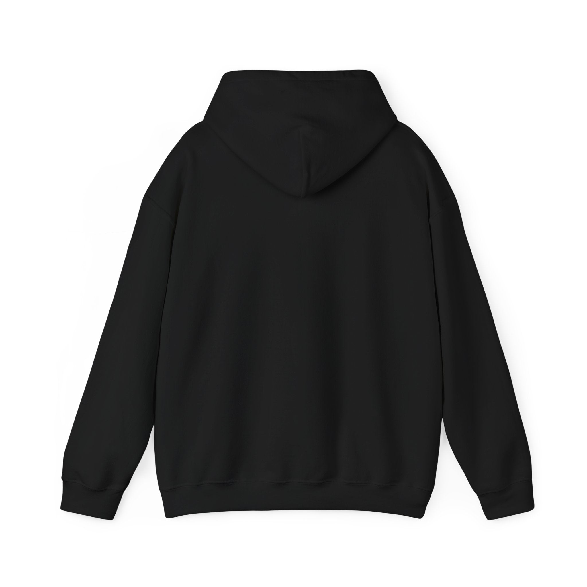Cat Meme-Clean It or the Next One Is on Your Pillow! | Funny Cat Lover Hoodie
