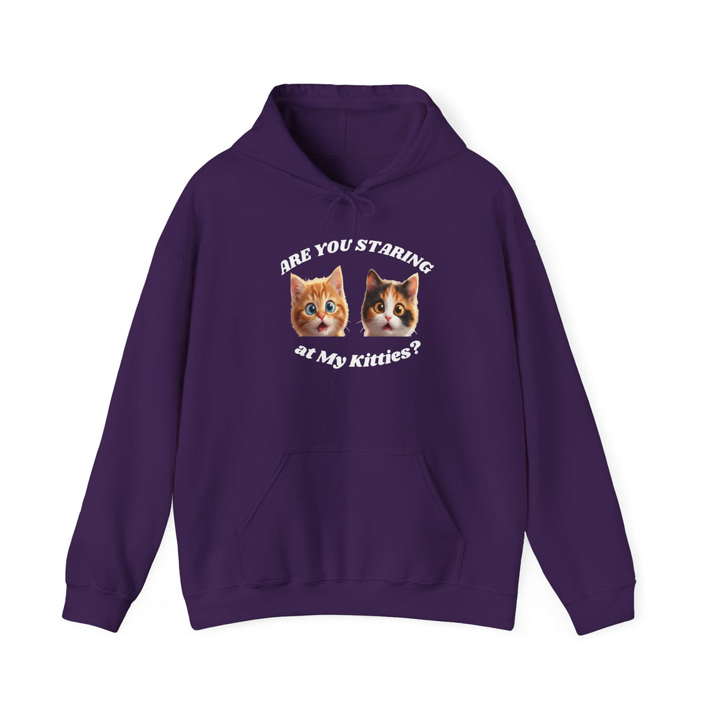 Cat Funny "Are You Staring?" Comfy Hoodie