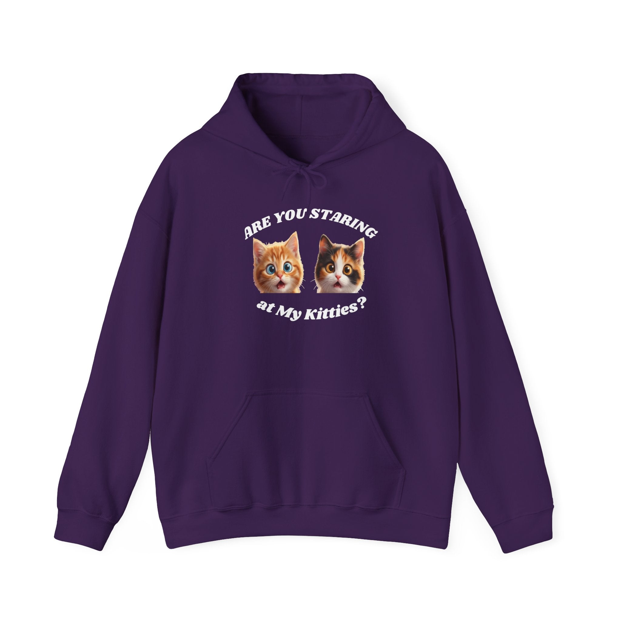Cat Funny "Are You Staring?" Comfy Hoodie