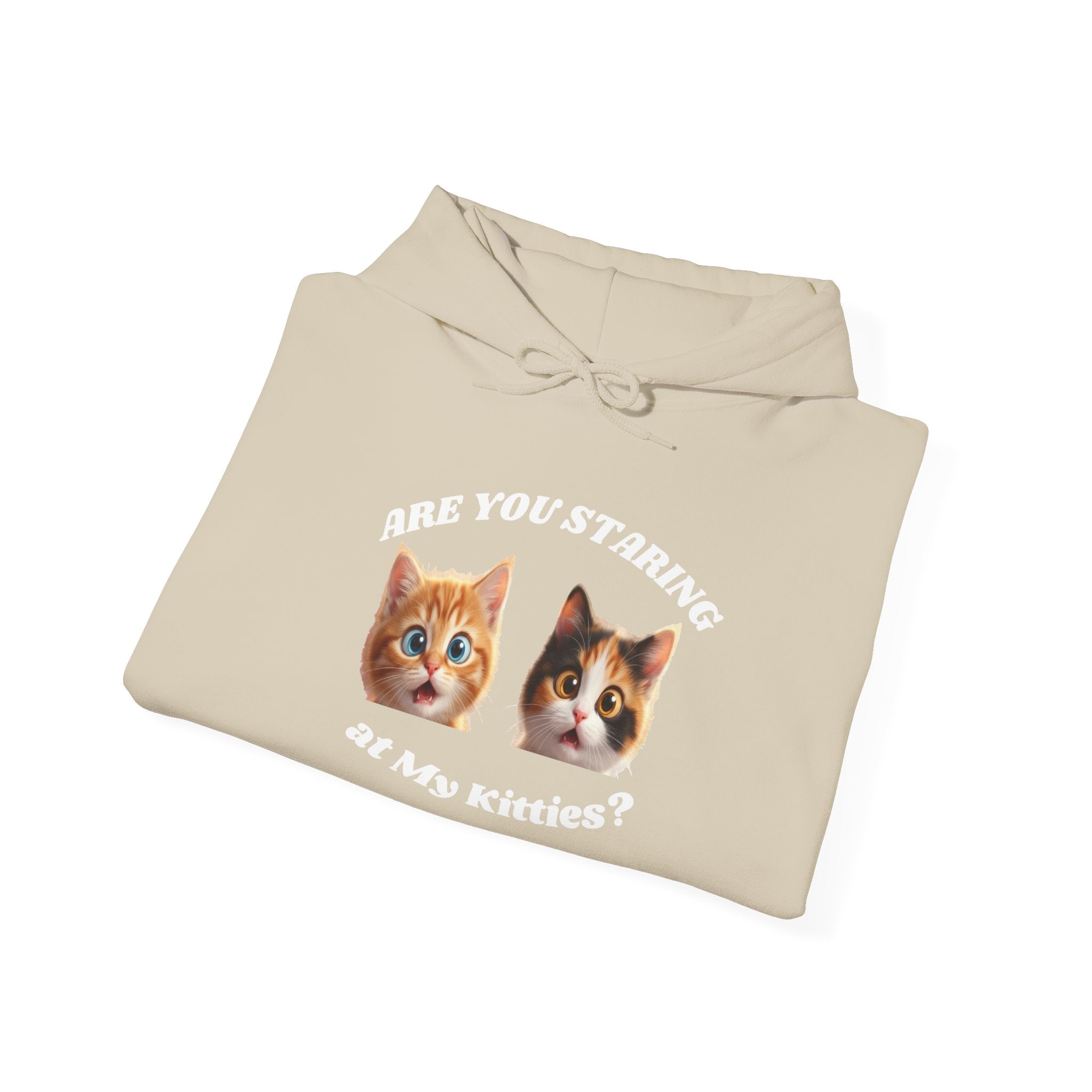 Cat Funny "Are You Staring?" Comfy Hoodie