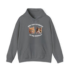 Cat Funny "Are You Staring?" Comfy Hoodie