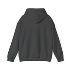Cat Meme-Clean It or the Next One Is on Your Pillow! | Funny Cat Lover Hoodie