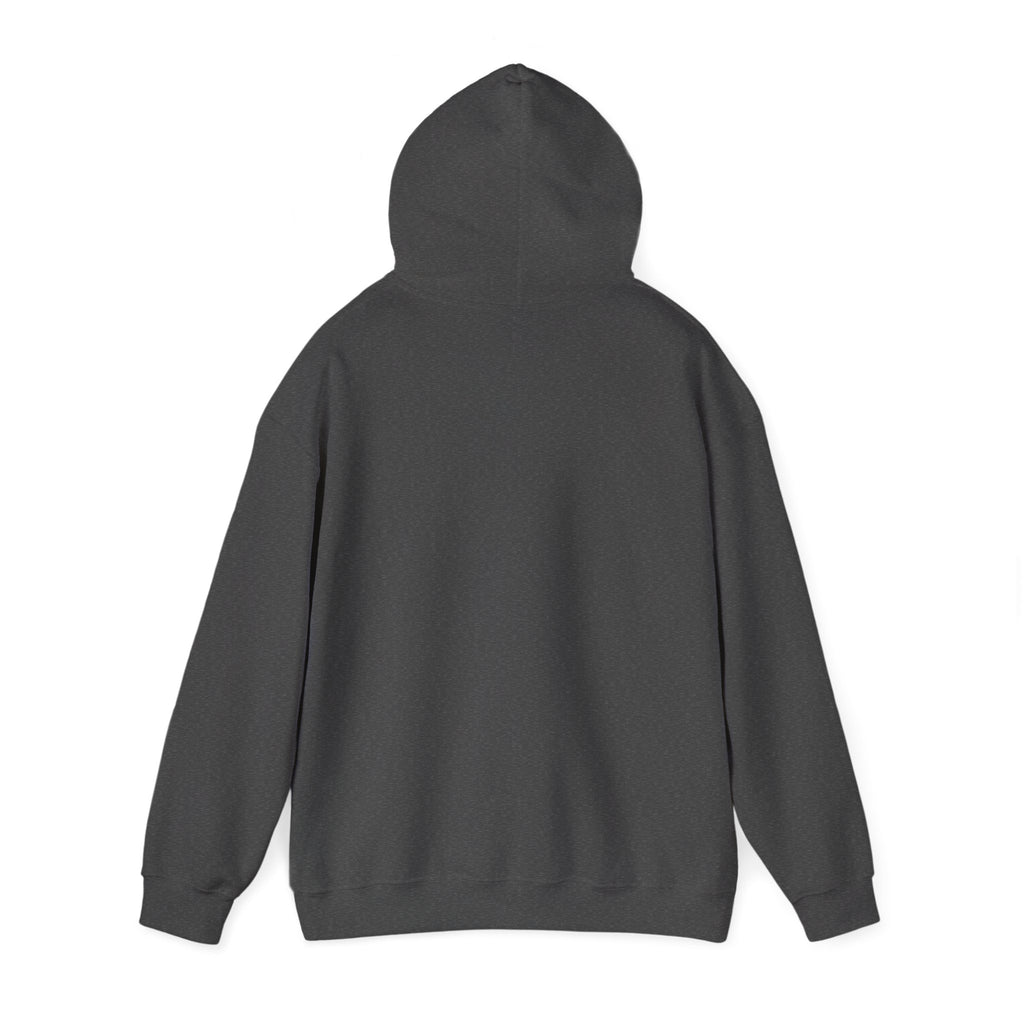 Cat Meme-Clean It or the Next One Is on Your Pillow! | Funny Cat Lover Hoodie