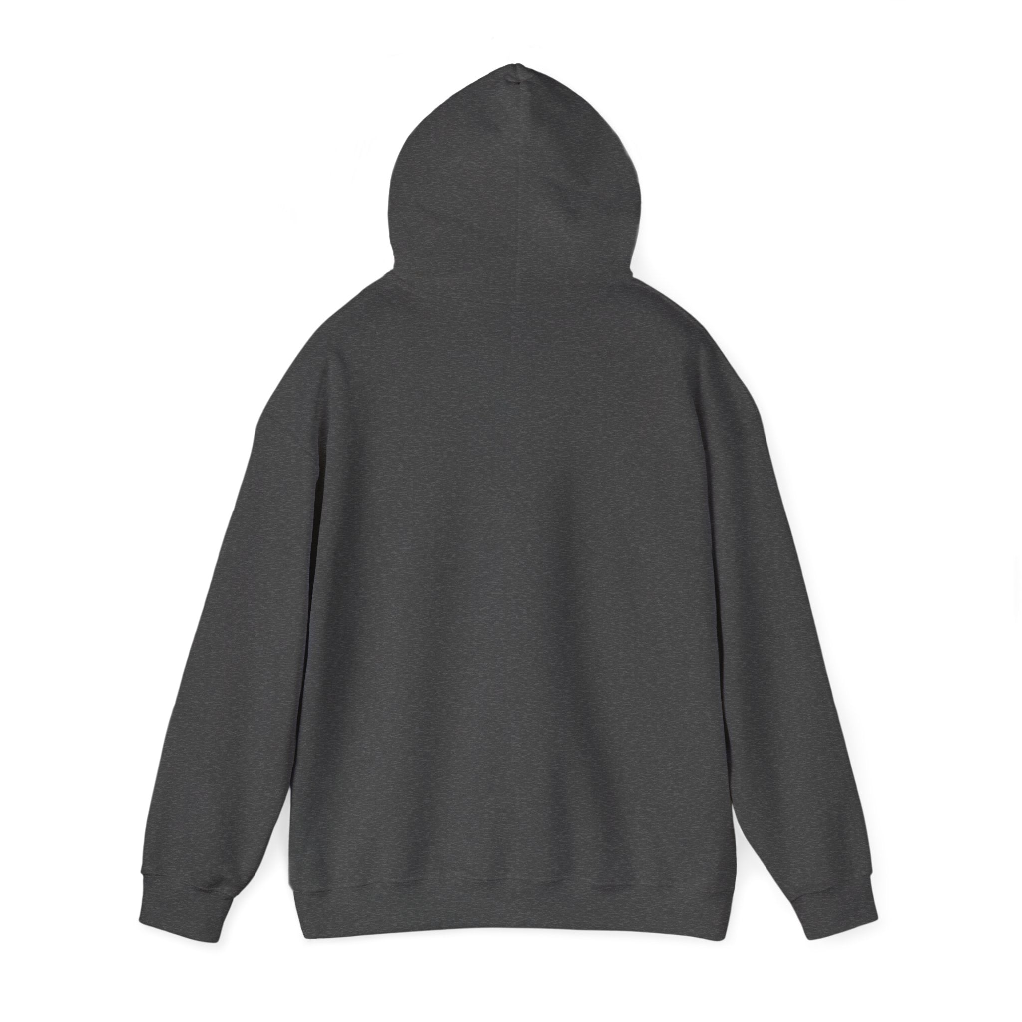 Cat Meme-Clean It or the Next One Is on Your Pillow! | Funny Cat Lover Hoodie