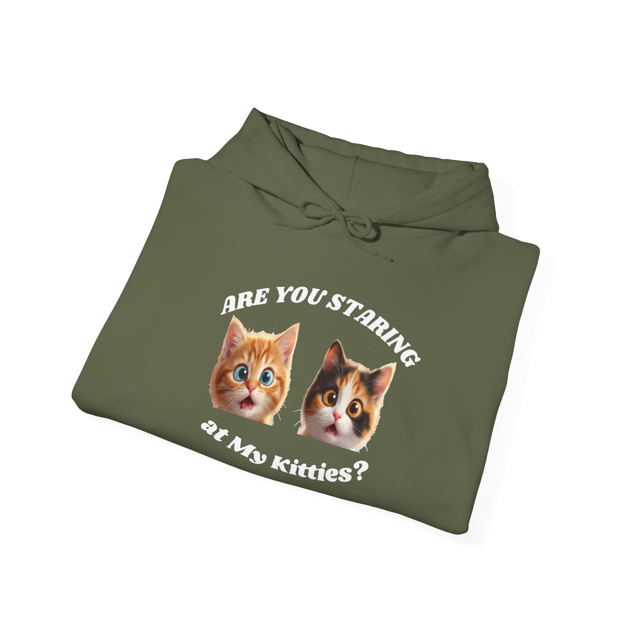 Cat Funny "Are You Staring?" Comfy Hoodie