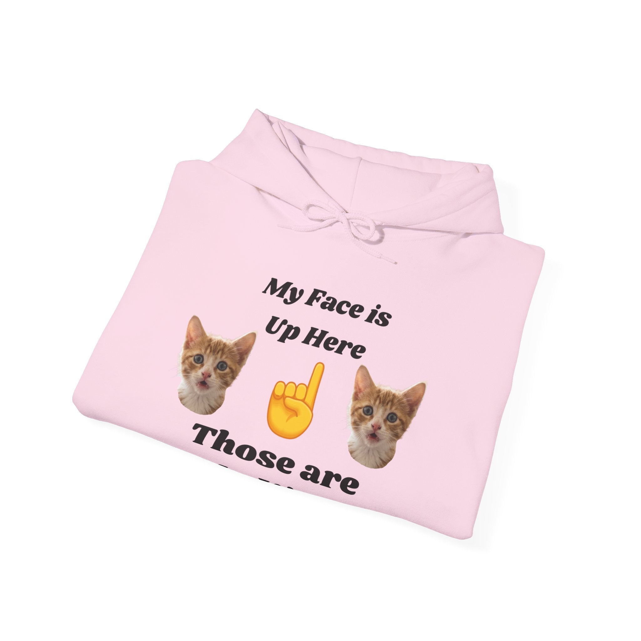 Cat Lovers "My Face is Up Here" Hilarious Hoodie