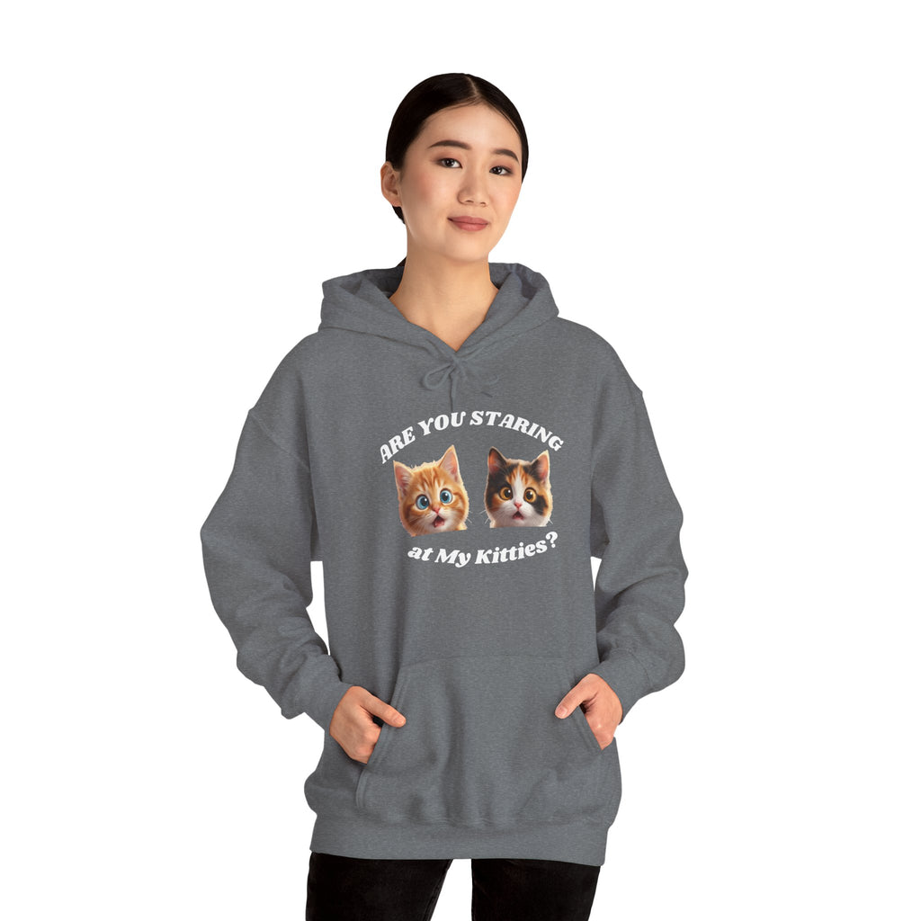 Cat Funny "Are You Staring?" Comfy Hoodie