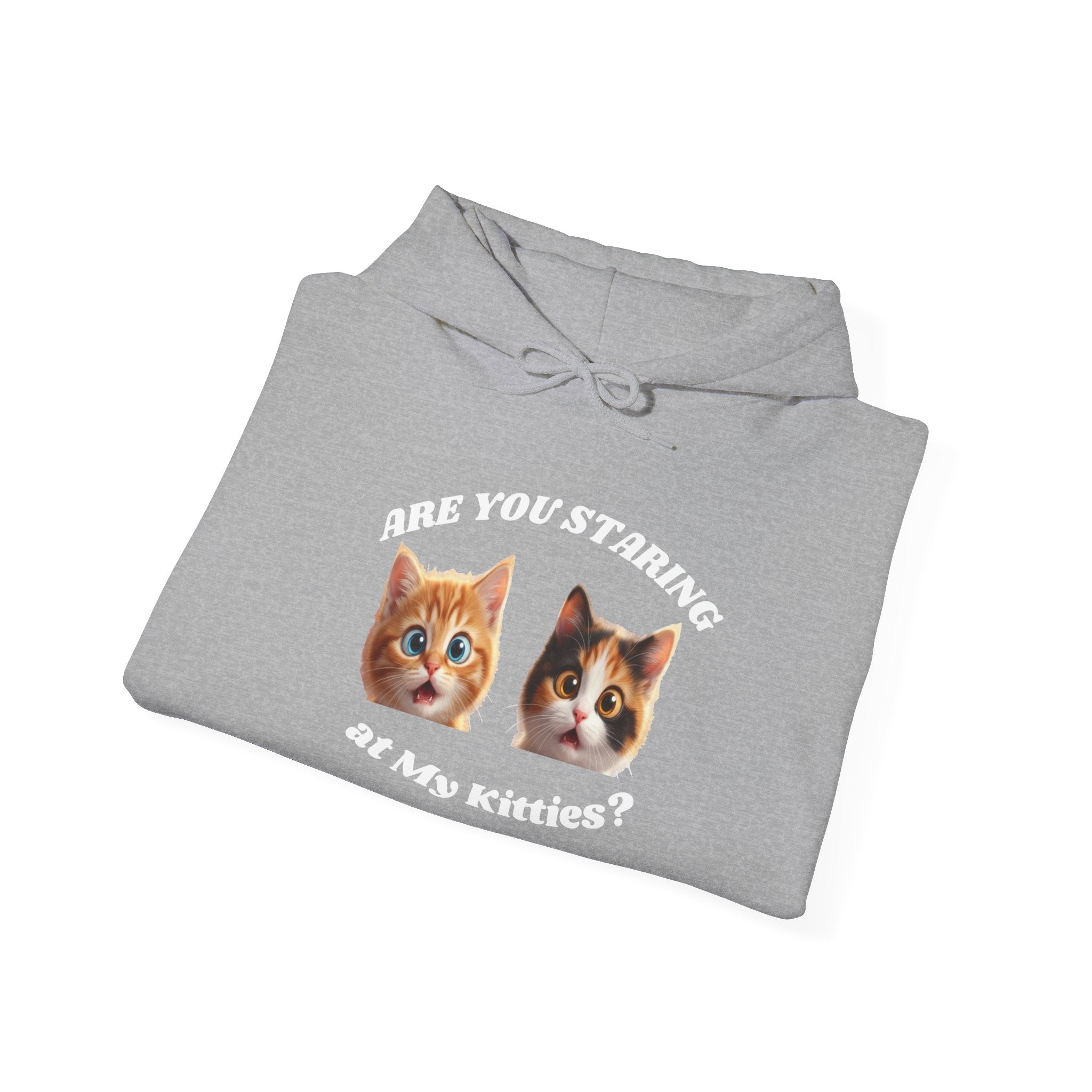 Cat Funny "Are You Staring?" Comfy Hoodie