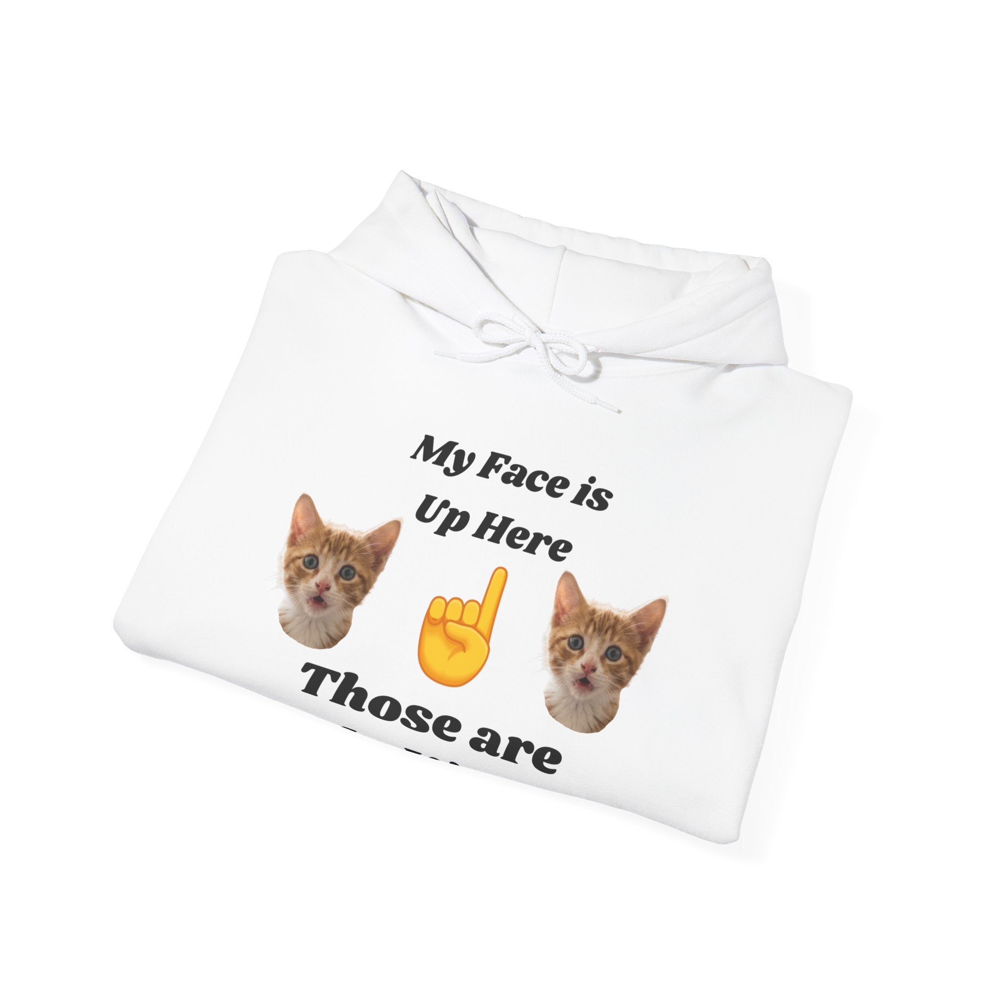 Cat Lovers "My Face is Up Here" Hilarious Hoodie