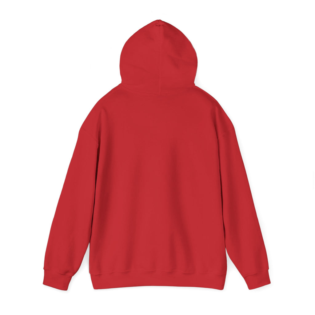 Cat Meme-This Was Bigger Online – Funny Badass Cat Hoodie
