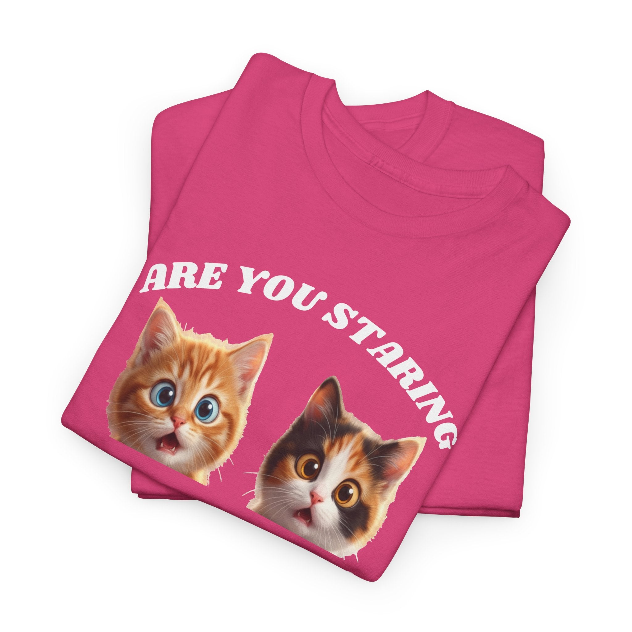 Silly Cat "Are You Staring" Tshirt