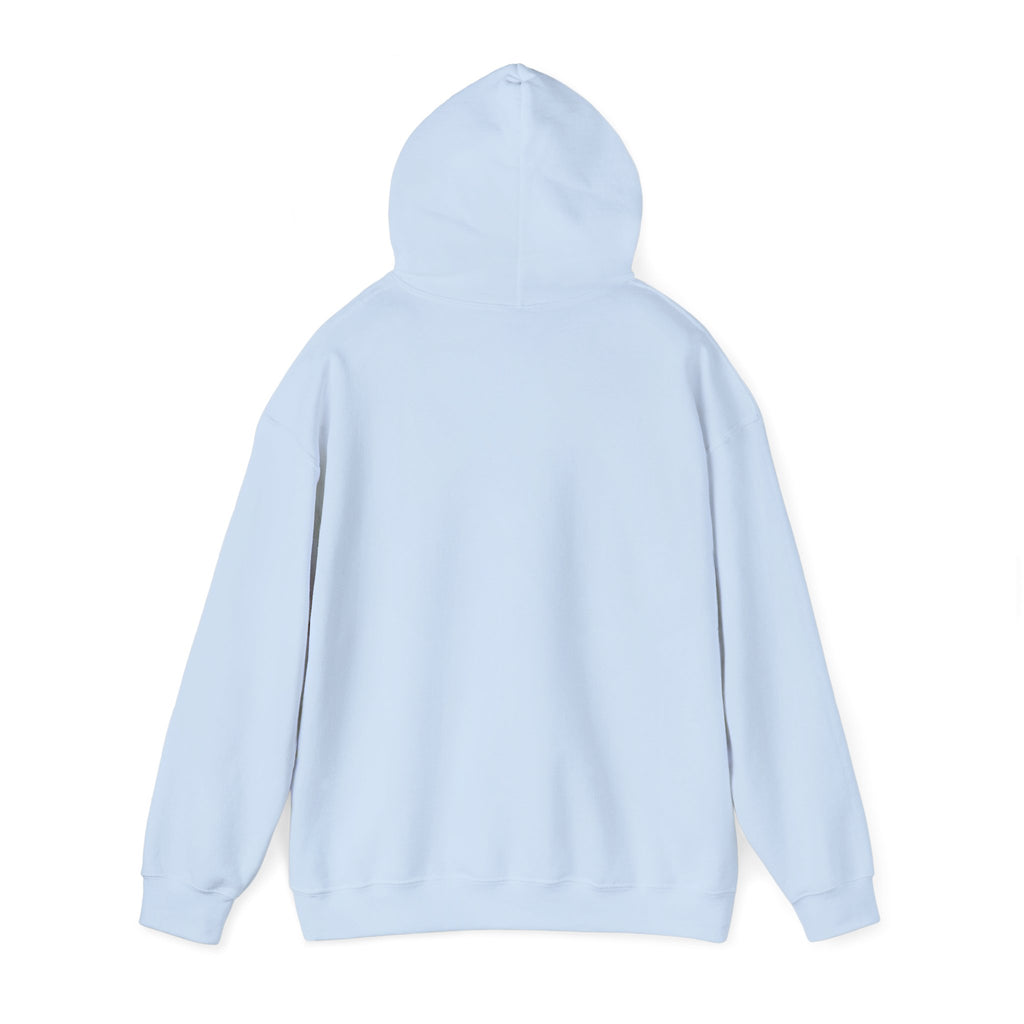 Cat Meme-Clean It or the Next One Is on Your Pillow! | Funny Cat Lover Hoodie