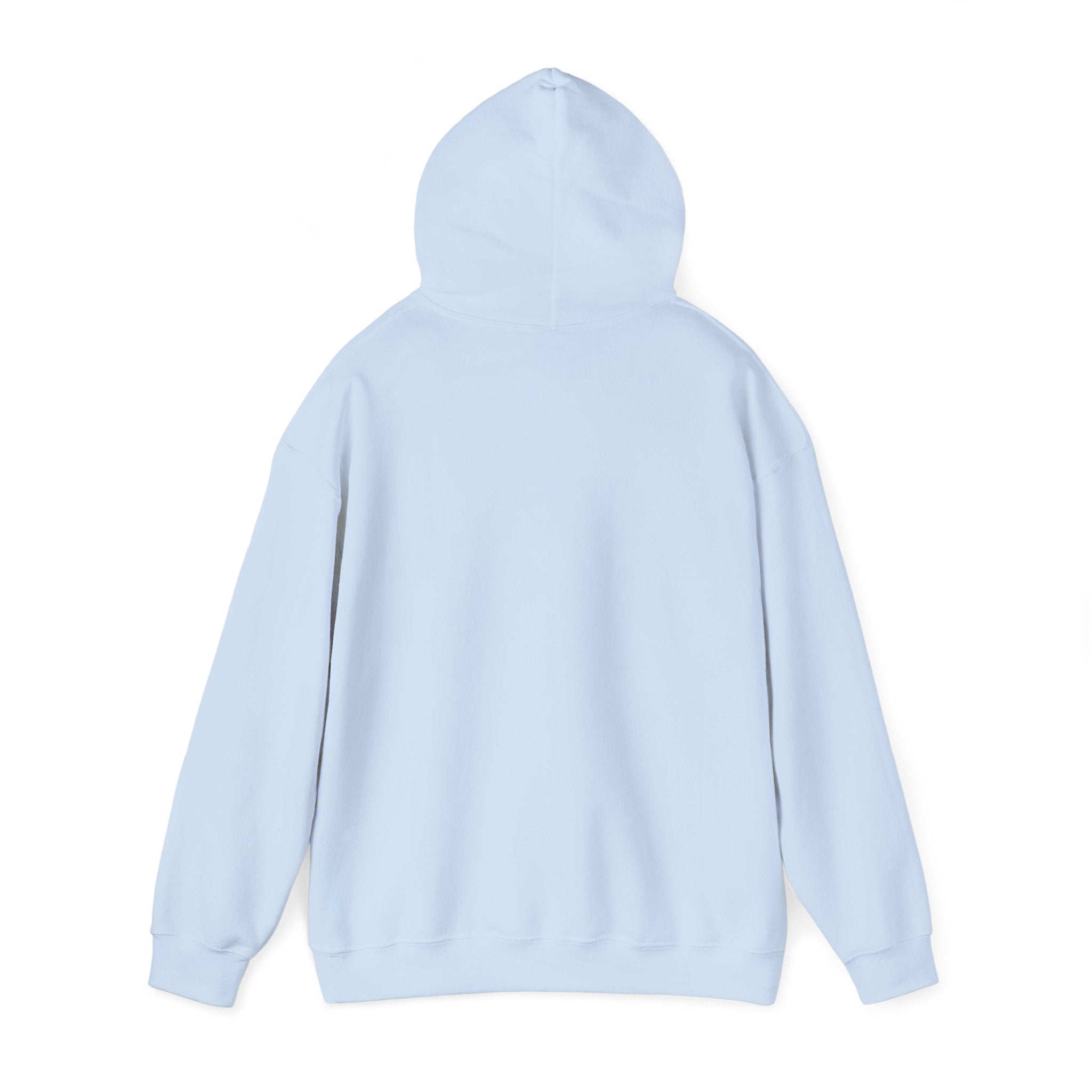 Cat Meme-Clean It or the Next One Is on Your Pillow! | Funny Cat Lover Hoodie