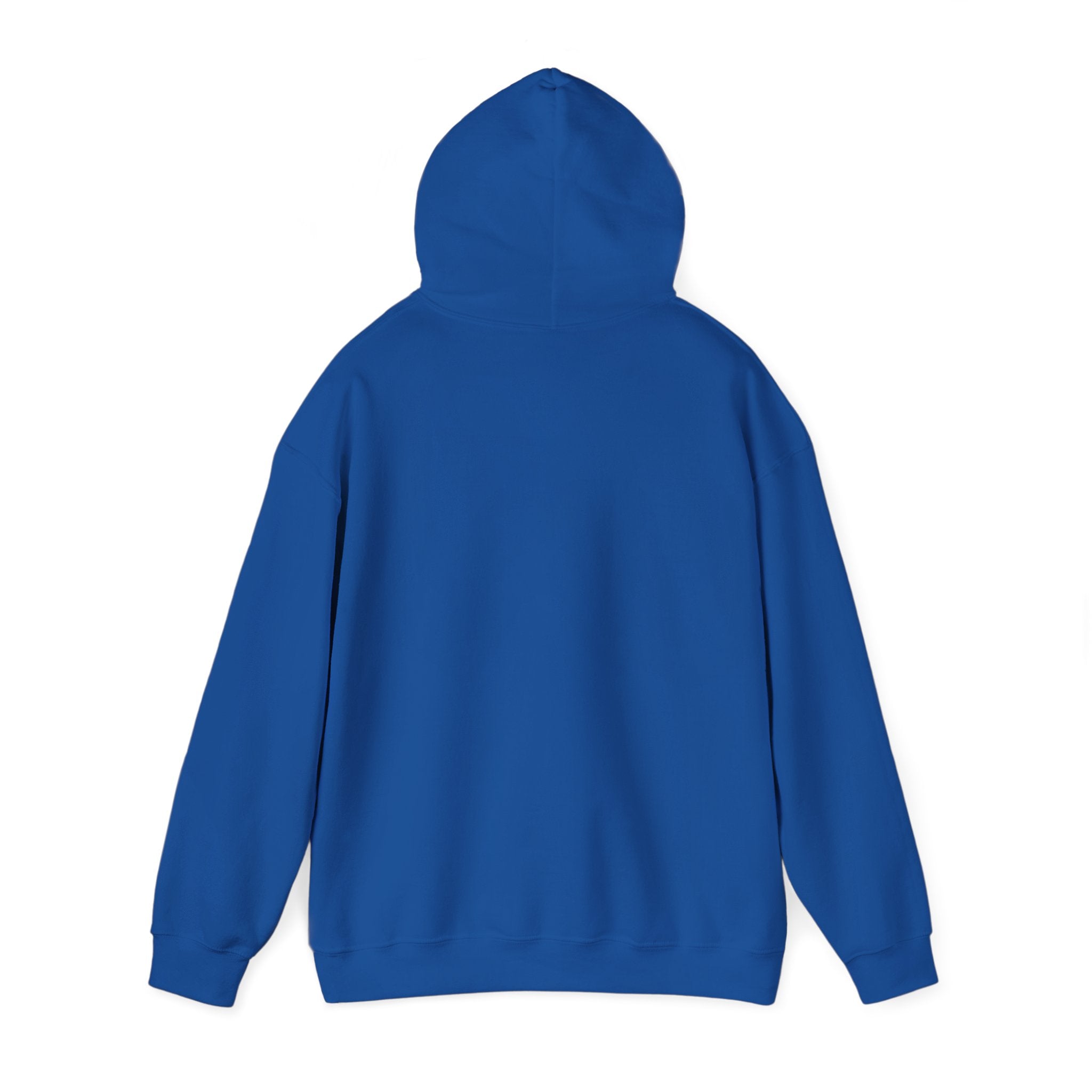 Cat Meme-This Was Bigger Online – Funny Badass Cat Hoodie