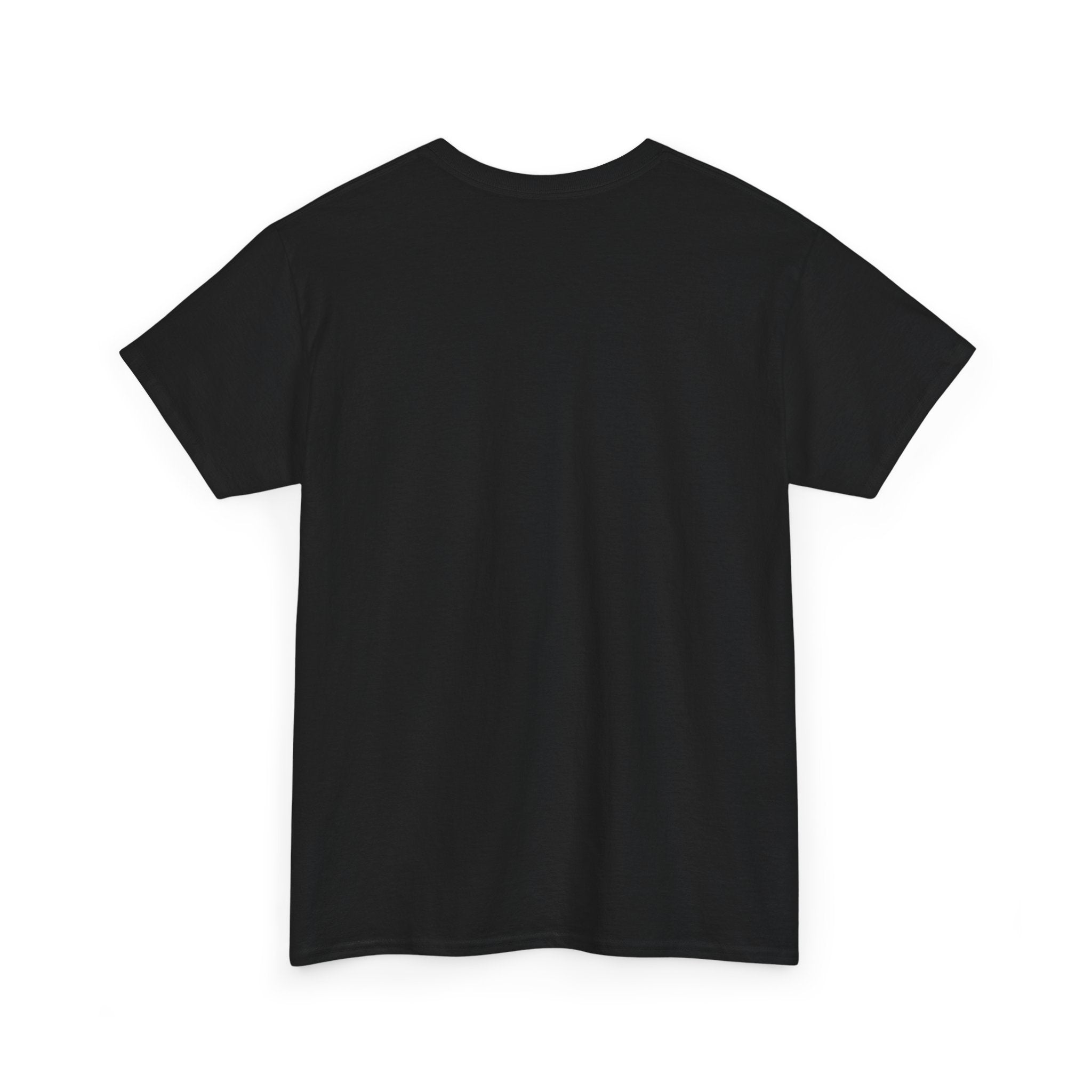 Cat Meme-Clean It... Or the Next One Is on Your Pillow! – Funny Cat T-Shirt