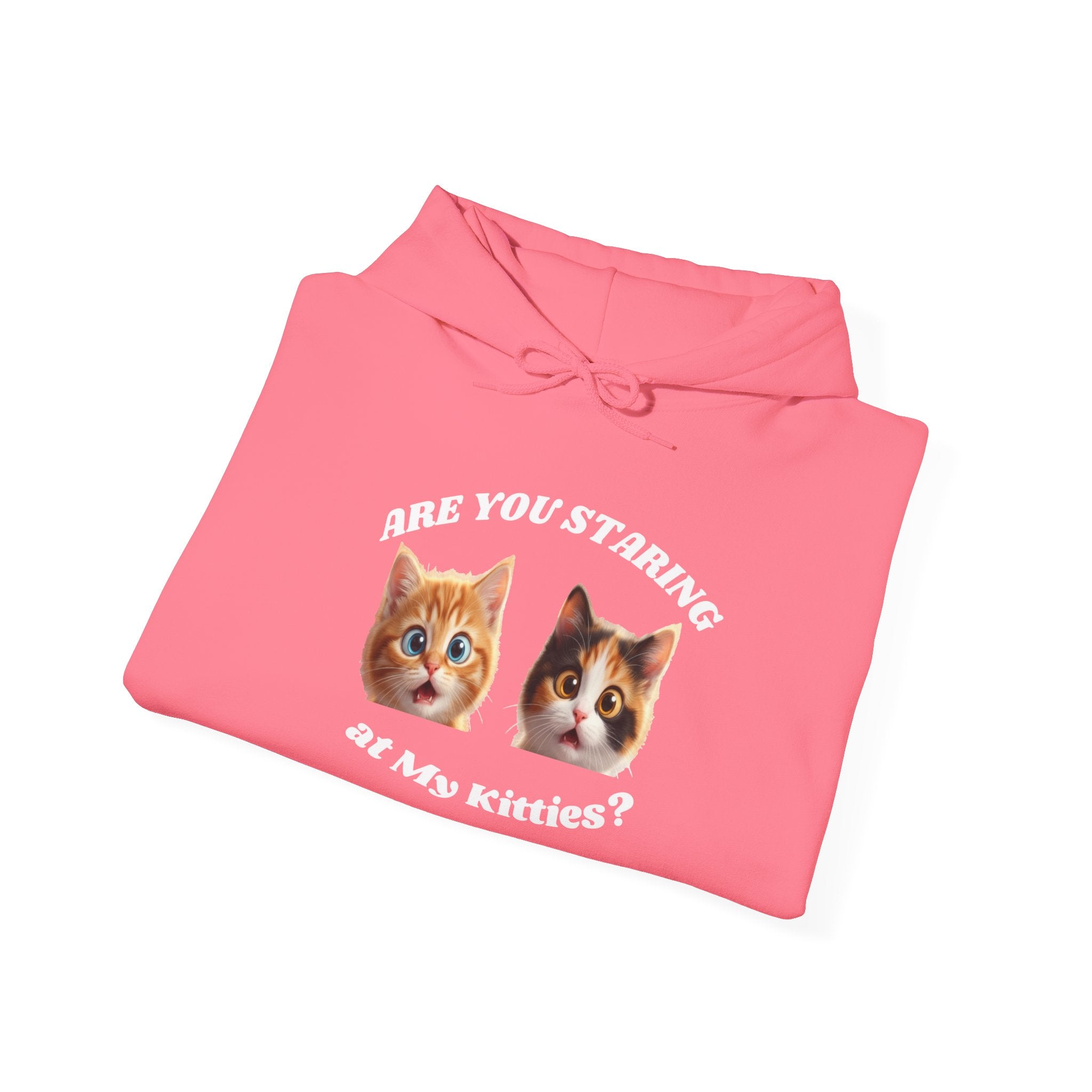Cat Funny "Are You Staring?" Comfy Hoodie