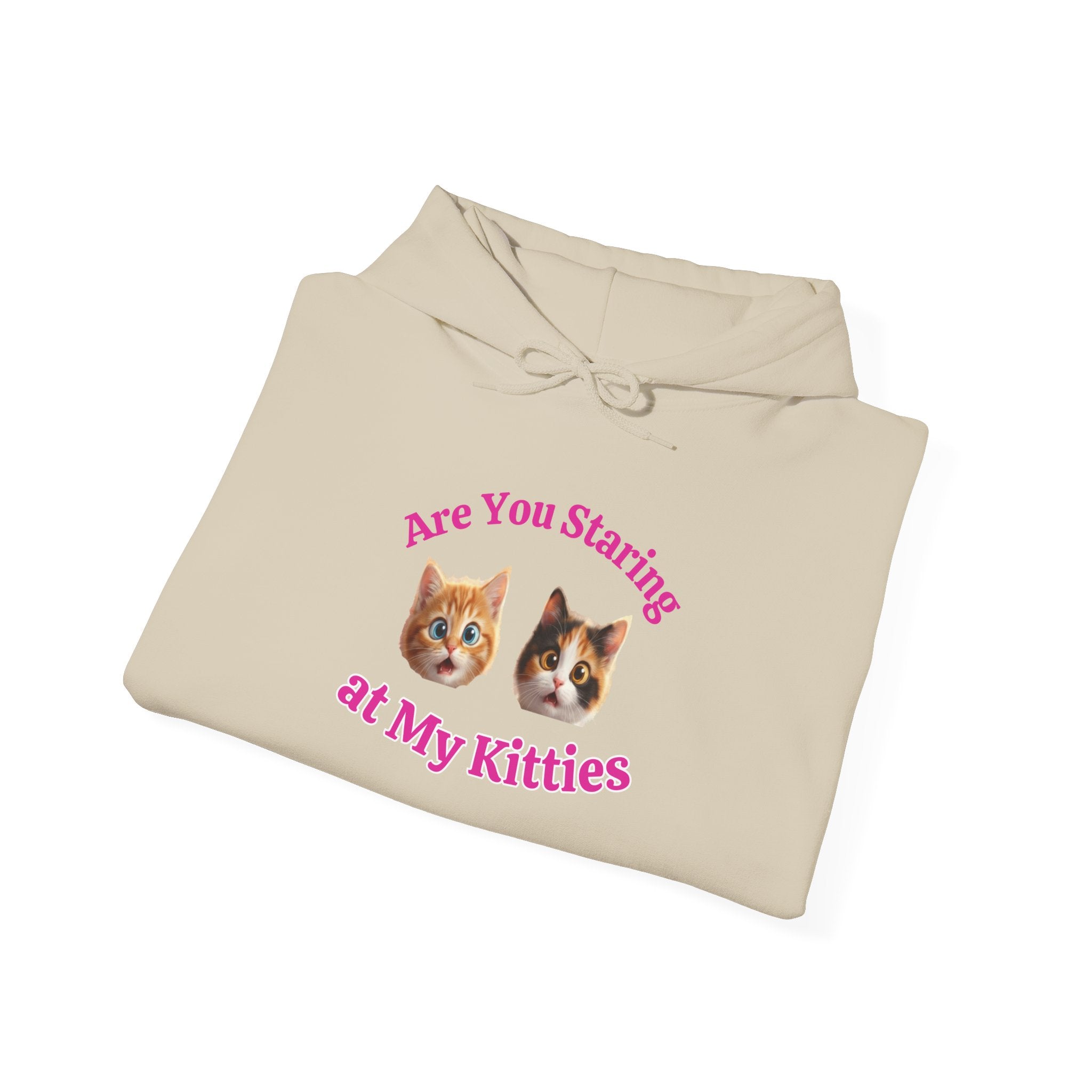 Cat Fun "Are You Staring" Hilarious Hoodie