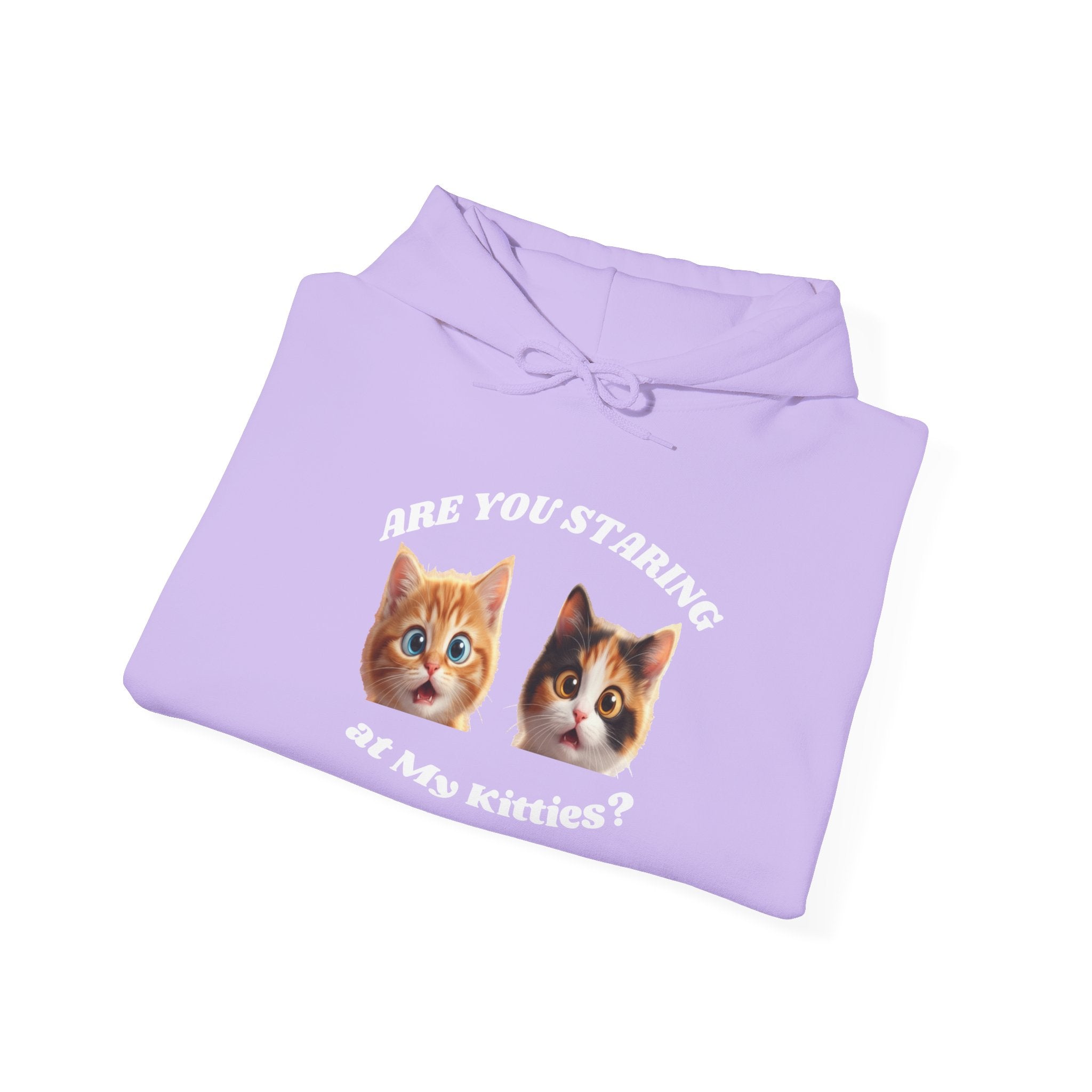 Cat Funny "Are You Staring?" Comfy Hoodie