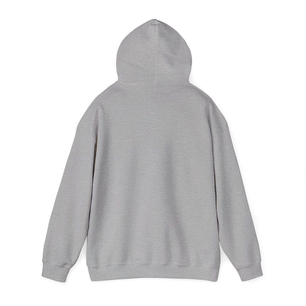 Cat Meme-Clean It or the Next One Is on Your Pillow! | Funny Cat Lover Hoodie