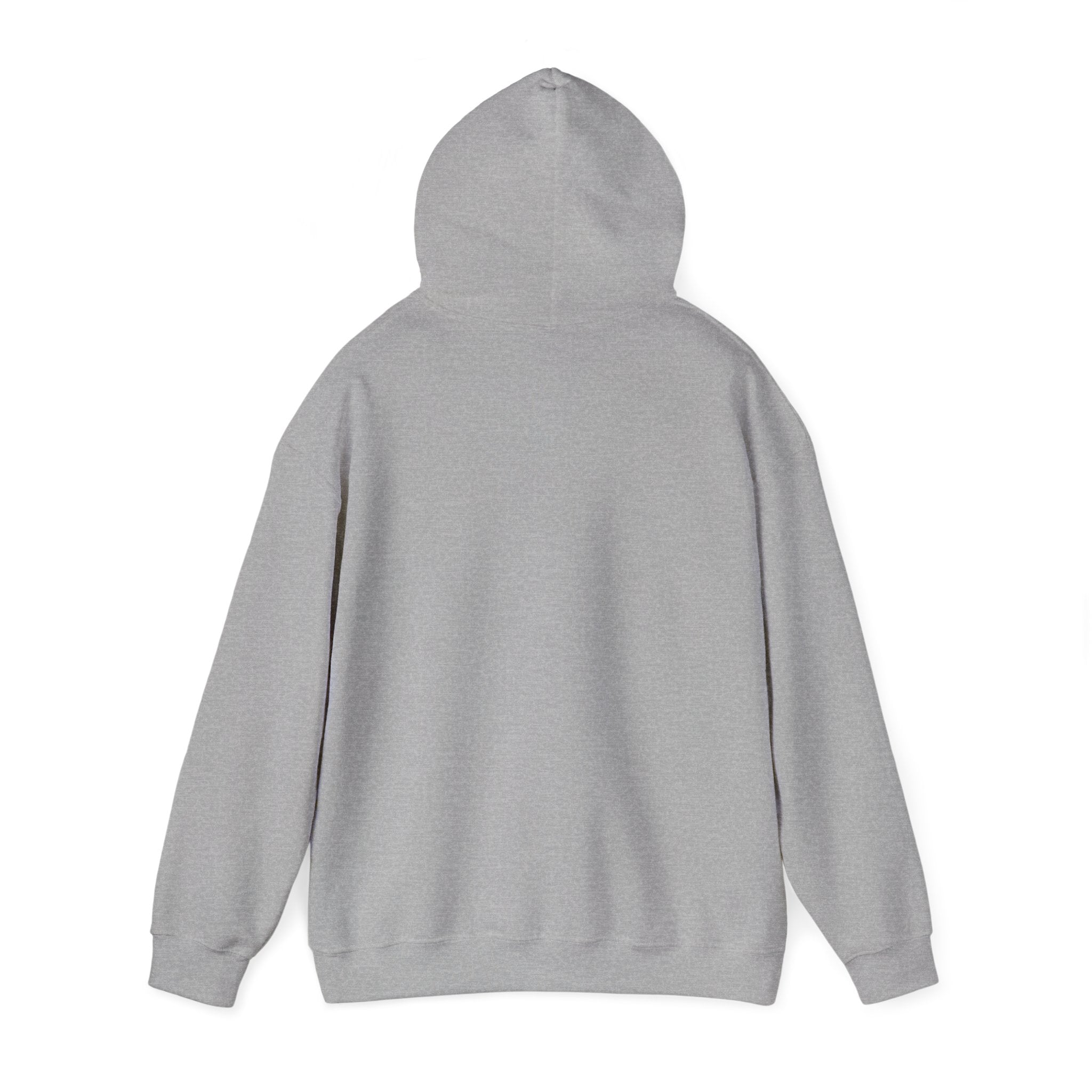 Cat Meme-Clean It or the Next One Is on Your Pillow! | Funny Cat Lover Hoodie