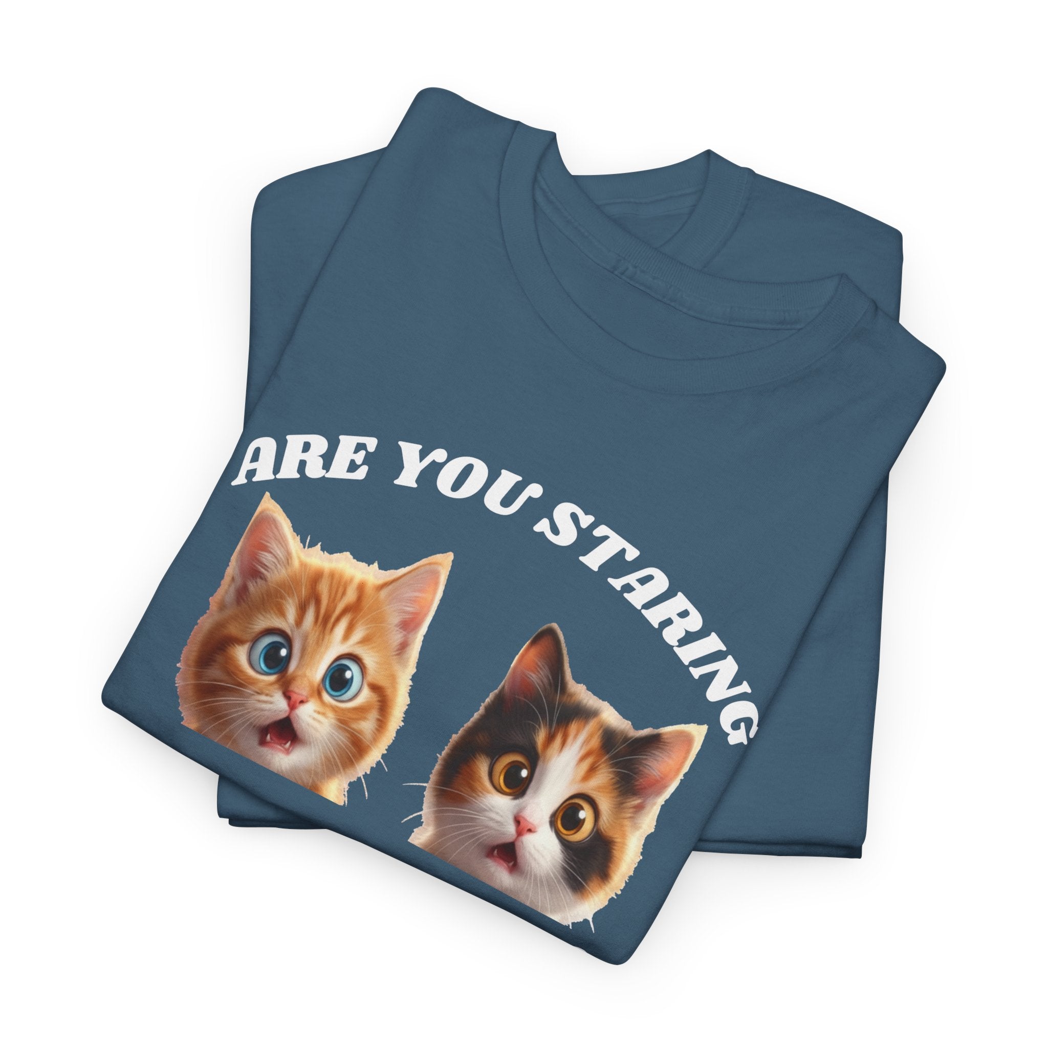 Silly Cat "Are You Staring" Tshirt