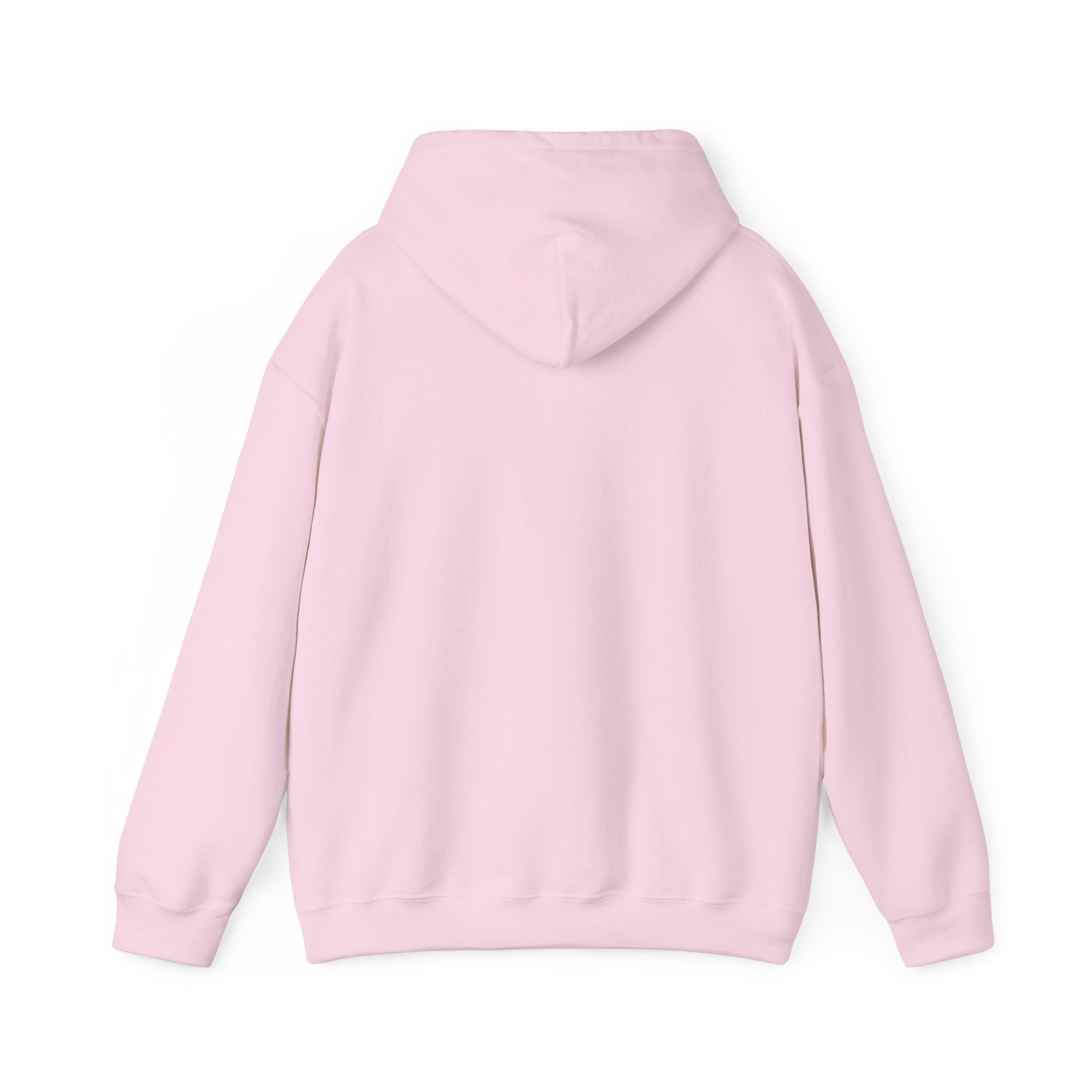 Cat Meme-Clean It or the Next One Is on Your Pillow! | Funny Cat Lover Hoodie