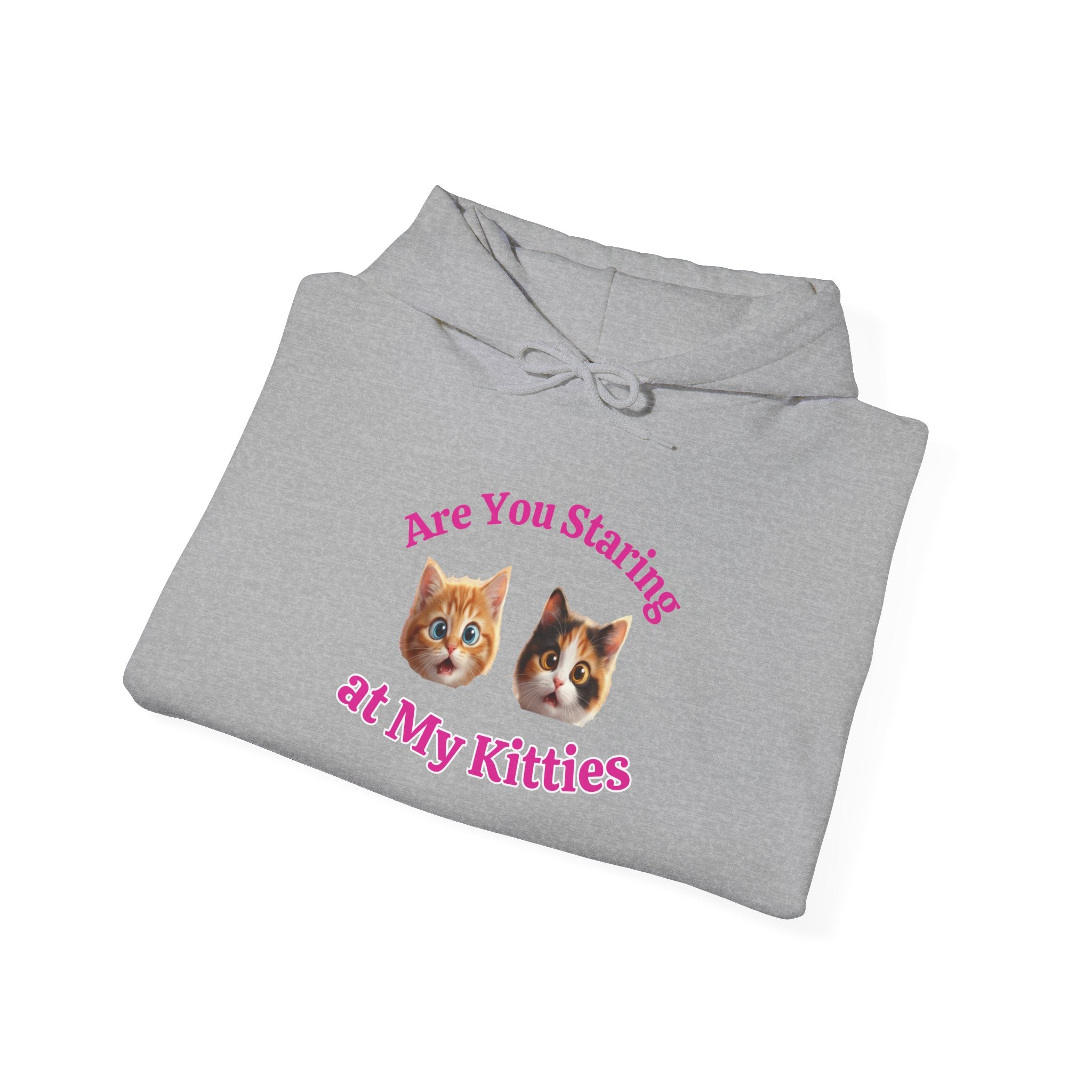 Cat Fun "Are You Staring" Hilarious Hoodie