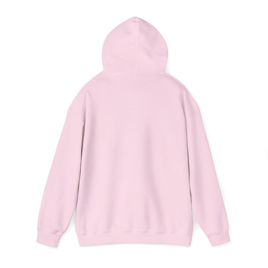 Cat Meme-Clean It or the Next One Is on Your Pillow! | Funny Cat Lover Hoodie