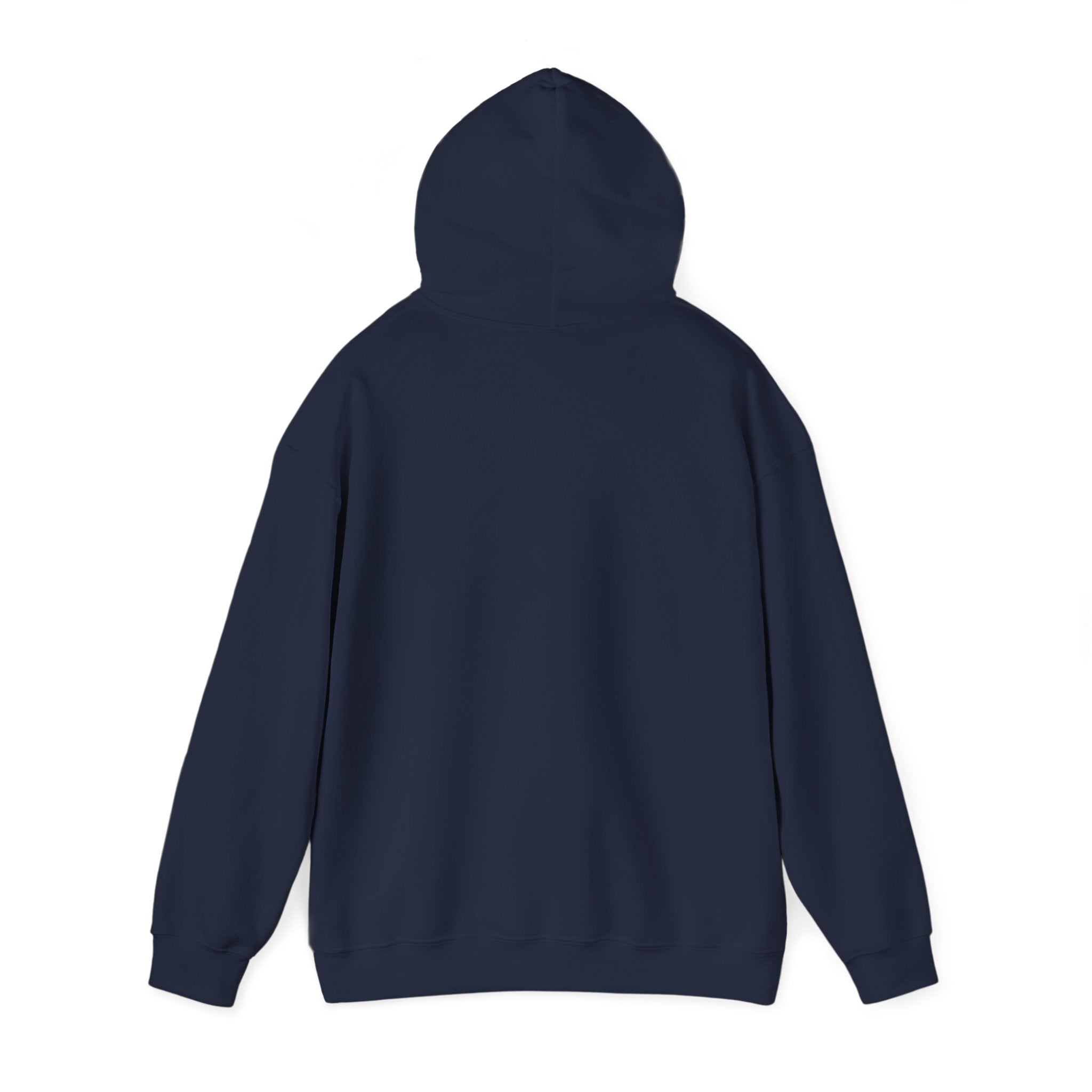 Cat Meme-Clean It or the Next One Is on Your Pillow! | Funny Cat Lover Hoodie