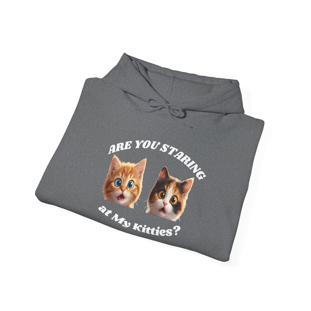 Cat Funny "Are You Staring?" Comfy Hoodie