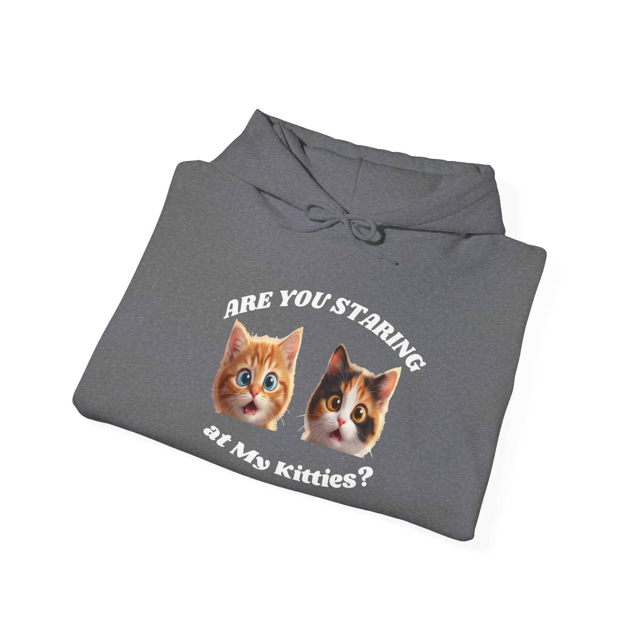Cat Funny "Are You Staring?" Comfy Hoodie