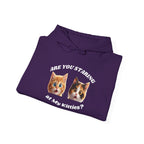 Cat Funny "Are You Staring?" Comfy Hoodie