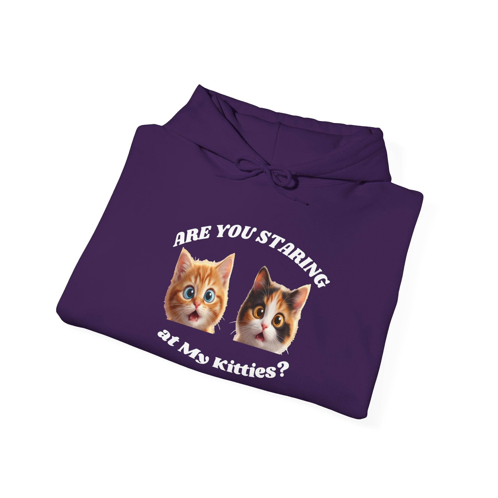 Cat Funny "Are You Staring?" Comfy Hoodie