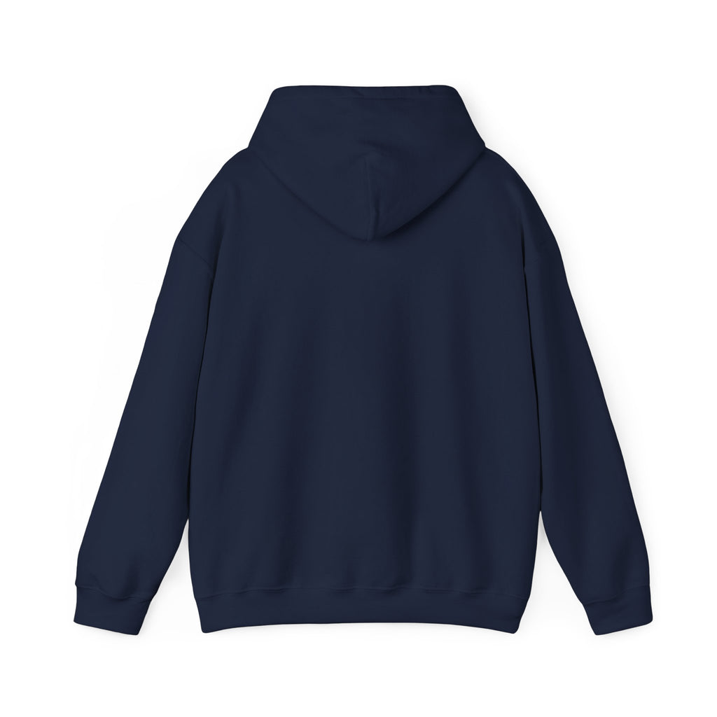 Cat Meme-This Was Bigger Online – Funny Badass Cat Hoodie