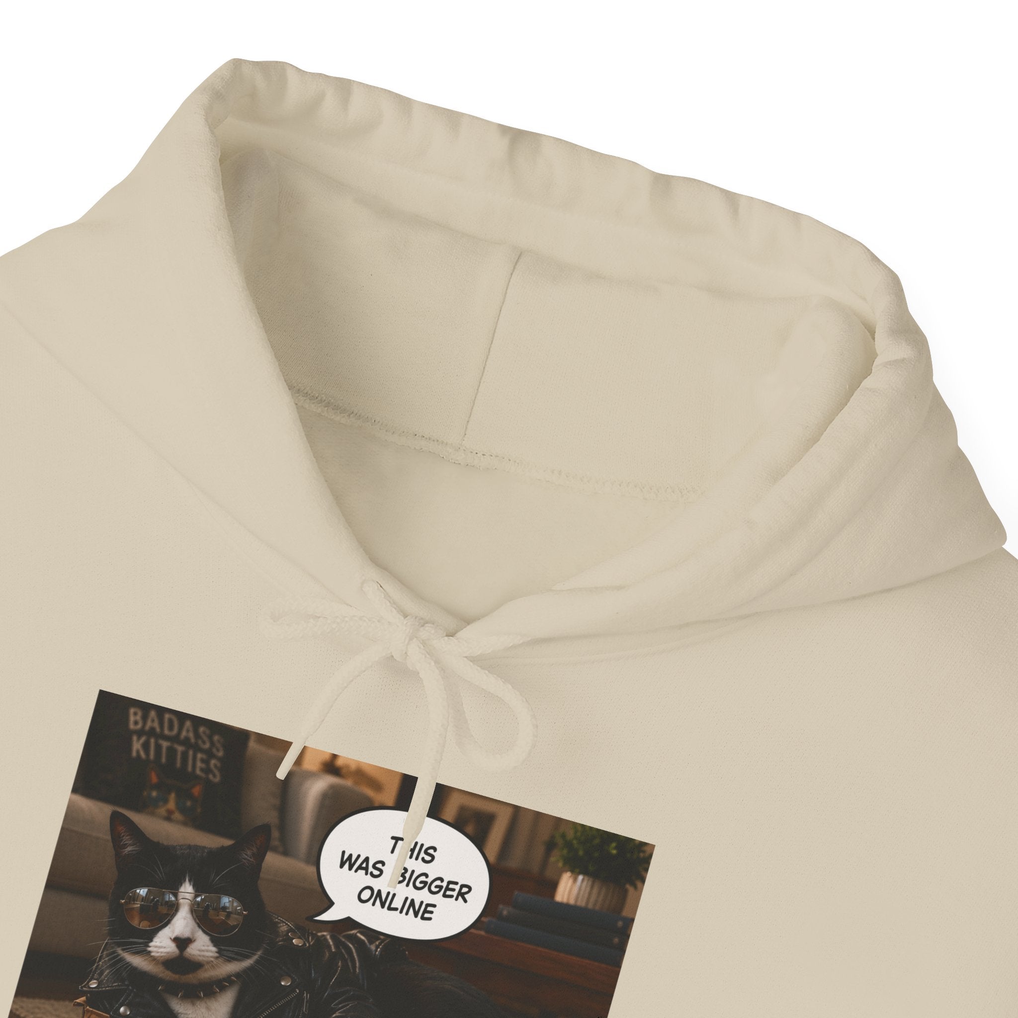 Cat Meme-This Was Bigger Online – Funny Badass Cat Hoodie