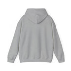 Cat Meme-Clean It or the Next One Is on Your Pillow! | Funny Cat Lover Hoodie