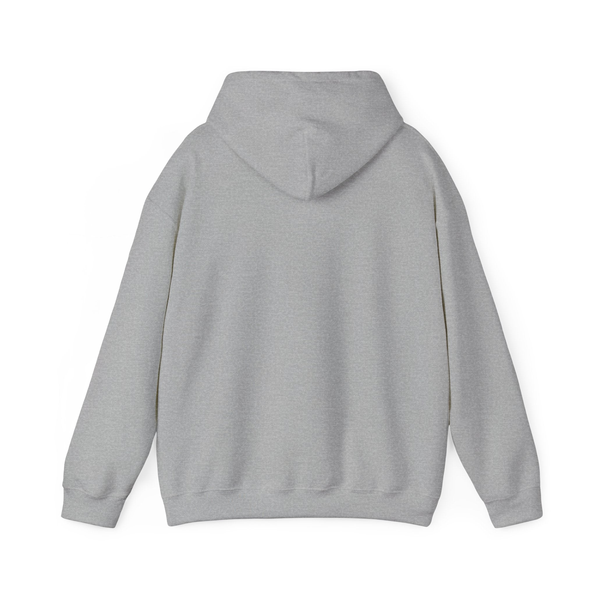 Cat Meme-Clean It or the Next One Is on Your Pillow! | Funny Cat Lover Hoodie
