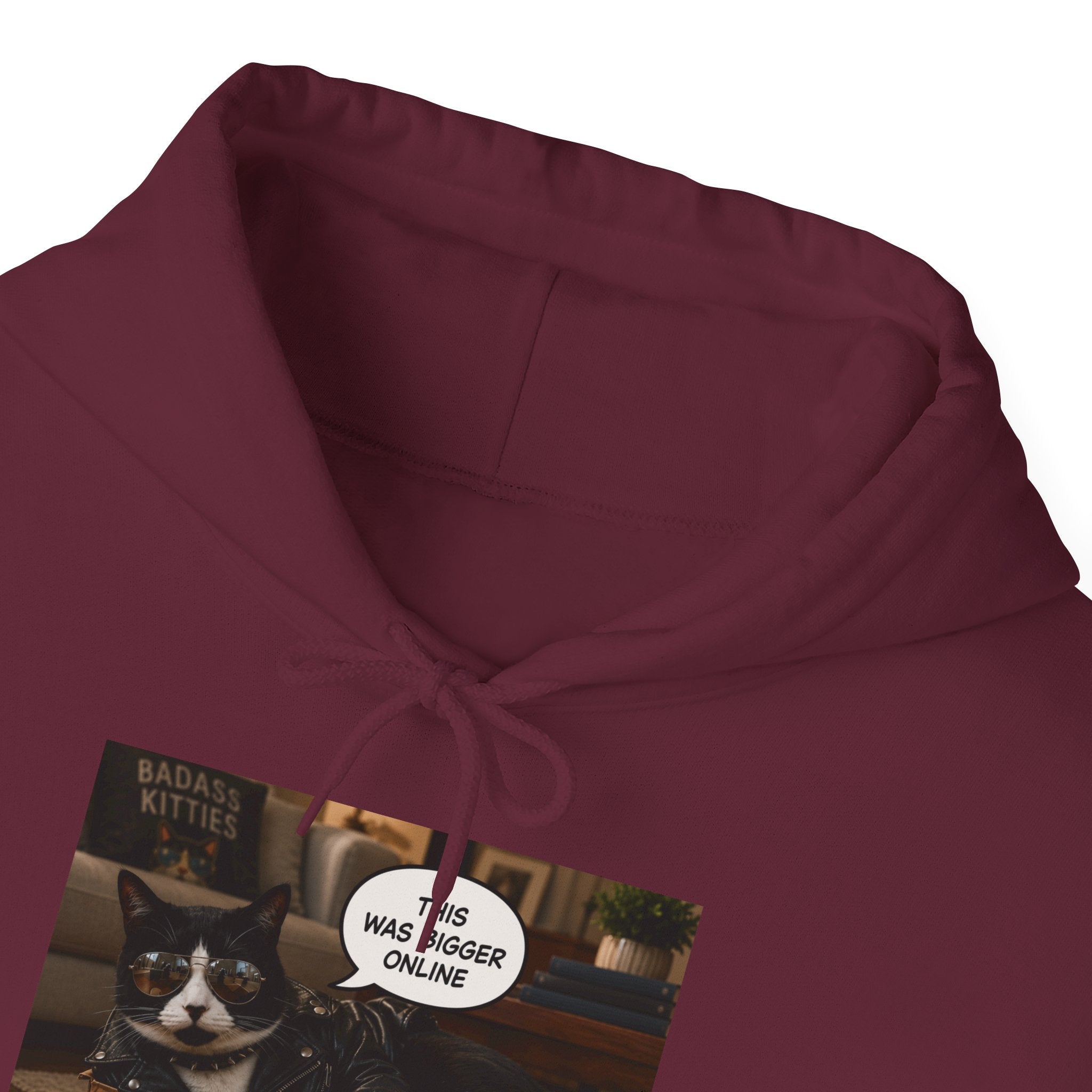 Cat Meme-This Was Bigger Online – Funny Badass Cat Hoodie