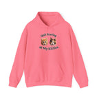 Funny Cat "Quit Staring" Hoodie