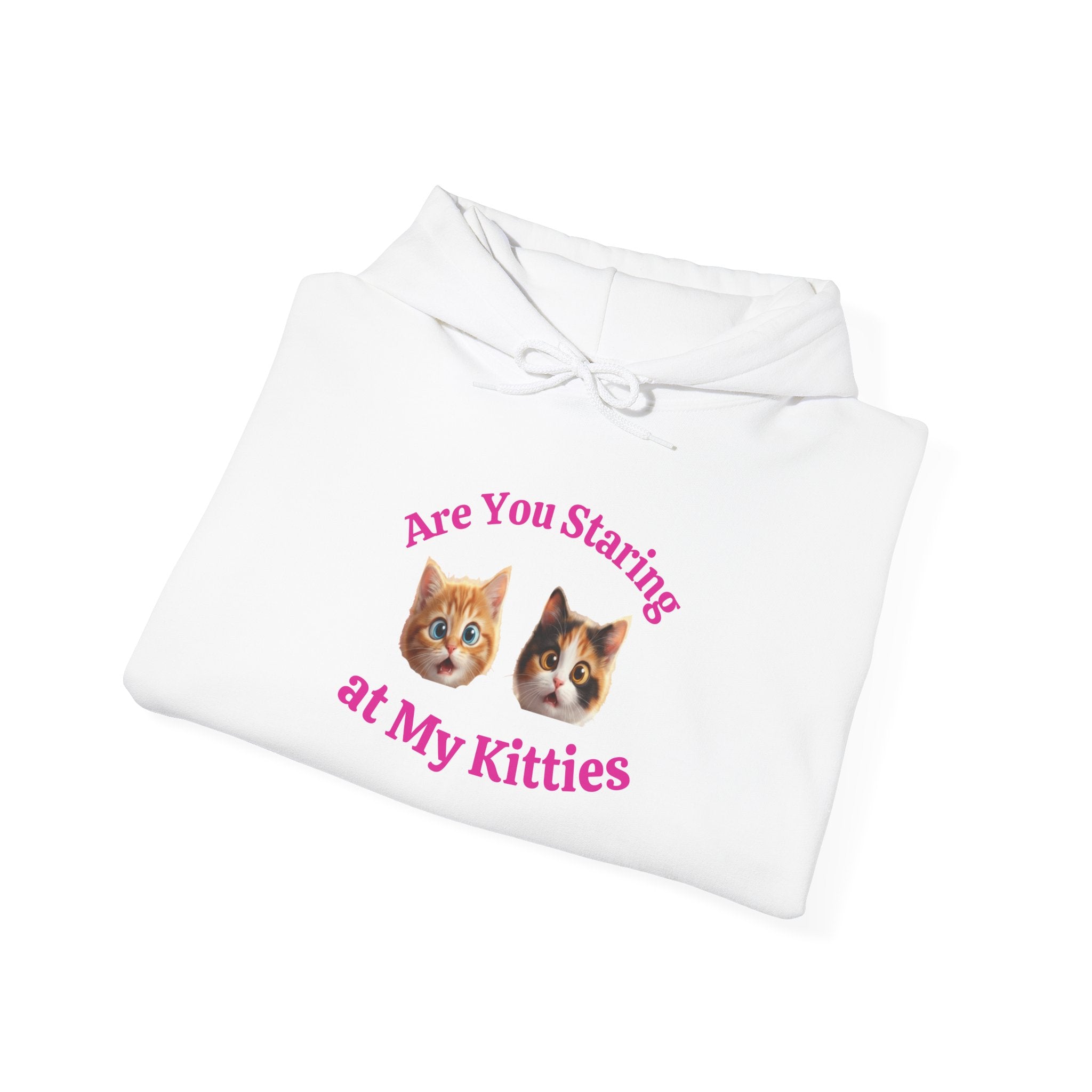 Cat Fun "Are You Staring" Hilarious Hoodie