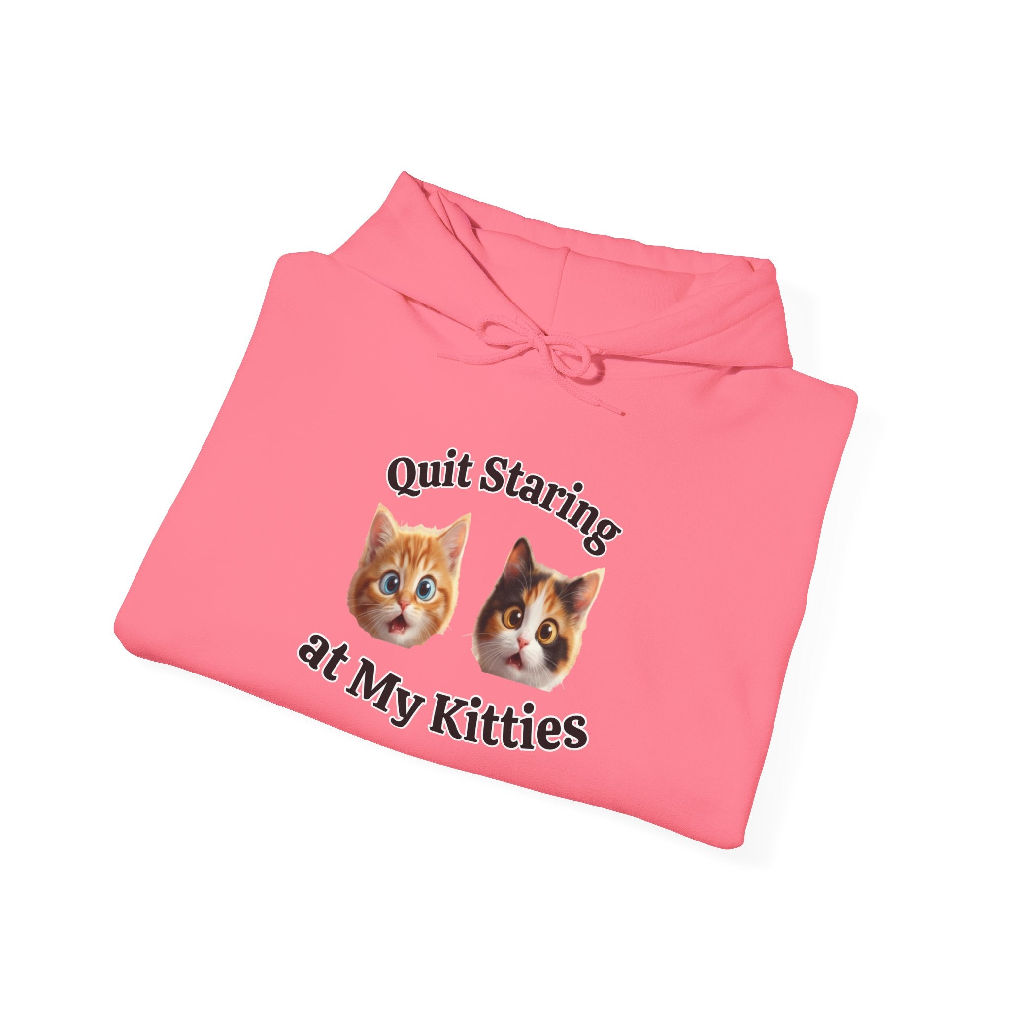 Funny Cat "Quit Staring" Hoodie