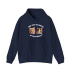 Cat Funny "Are You Staring?" Comfy Hoodie