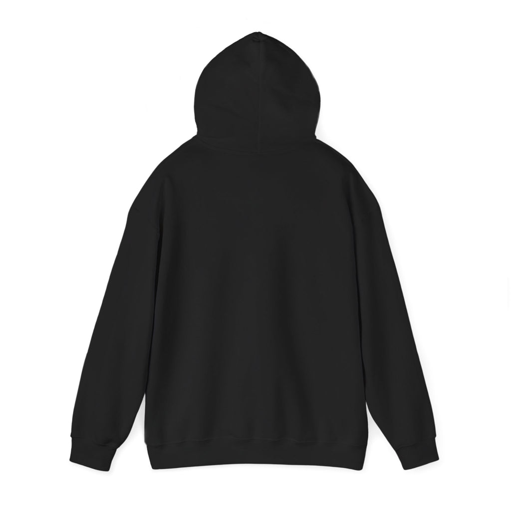 Cat Meme-Clean It or the Next One Is on Your Pillow! | Funny Cat Lover Hoodie