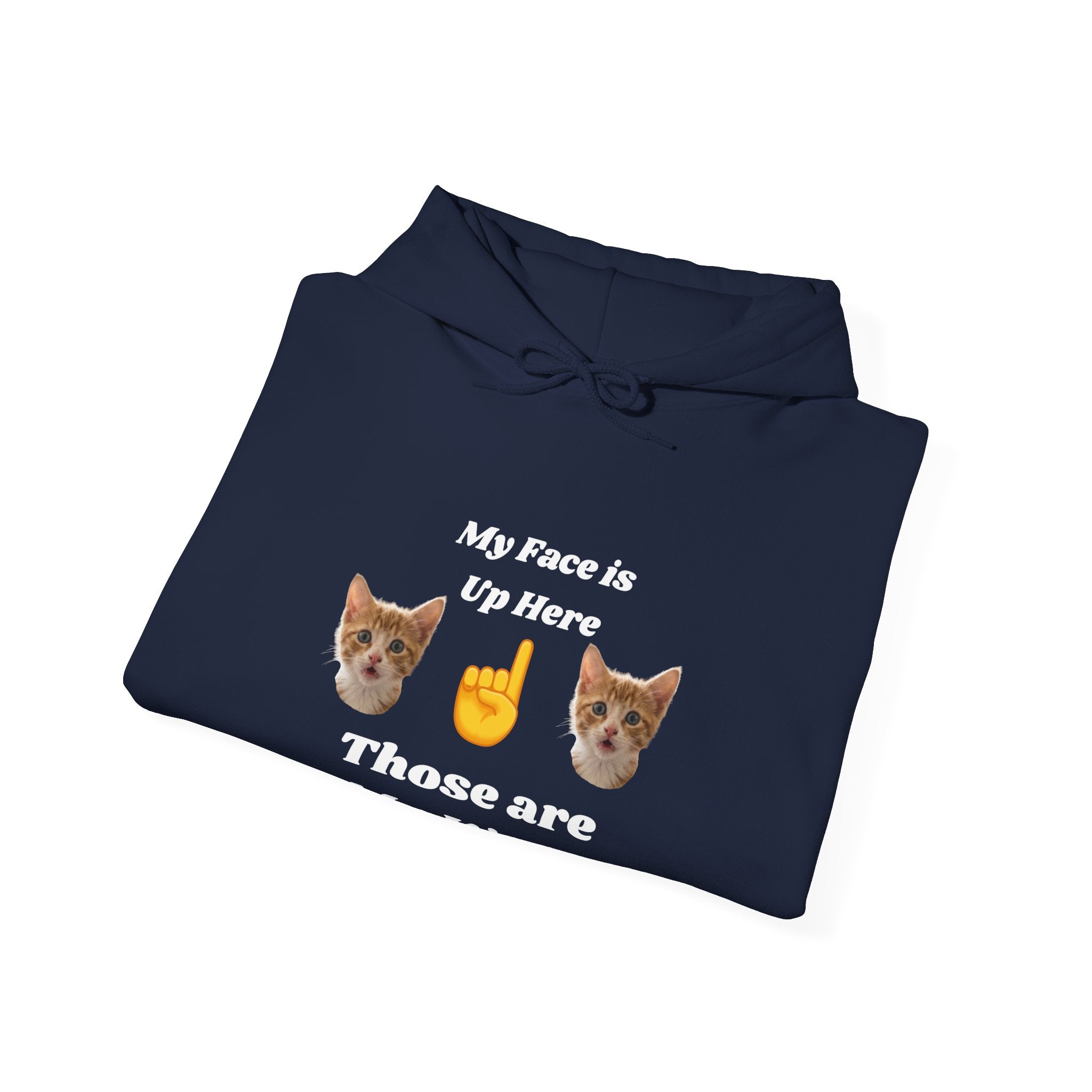 Cat Lovers Hilarious Hoodie "My Face is Up Here"