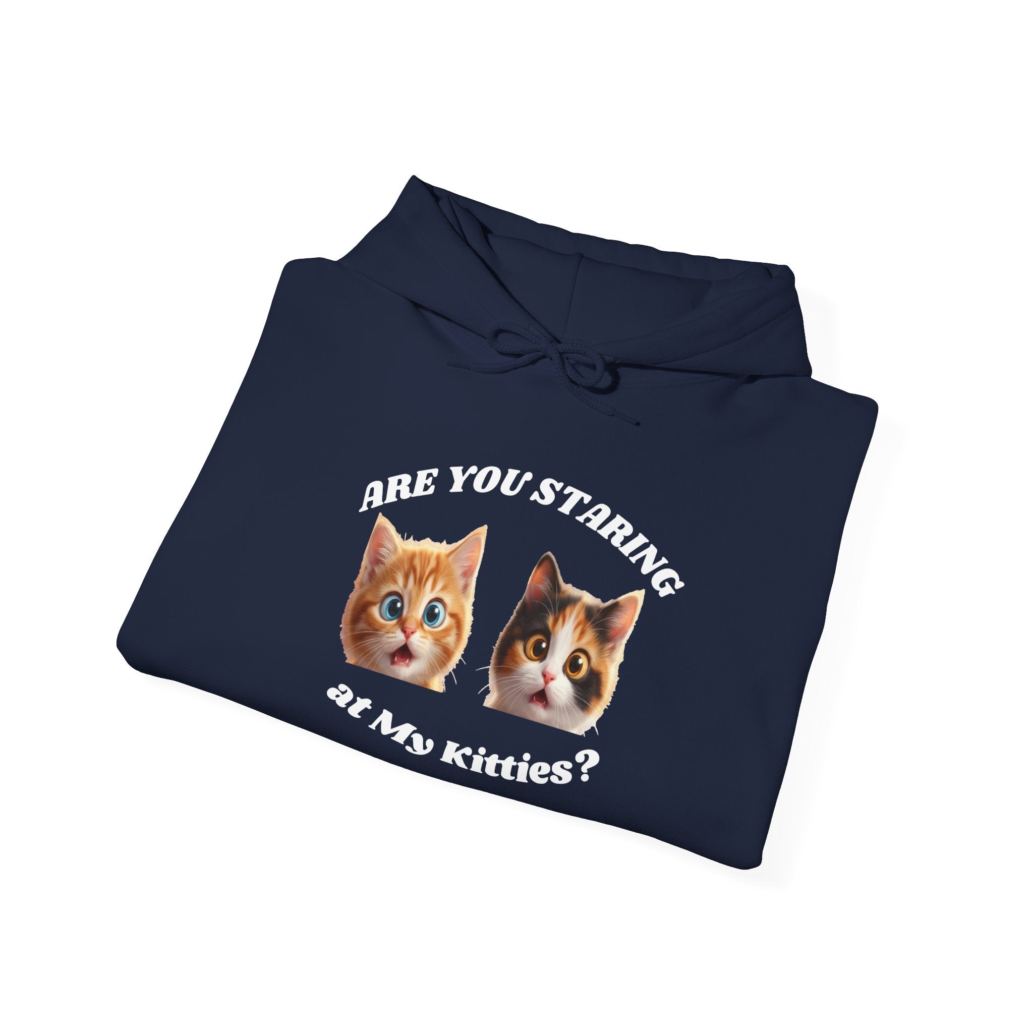 Cat Funny "Are You Staring?" Comfy Hoodie