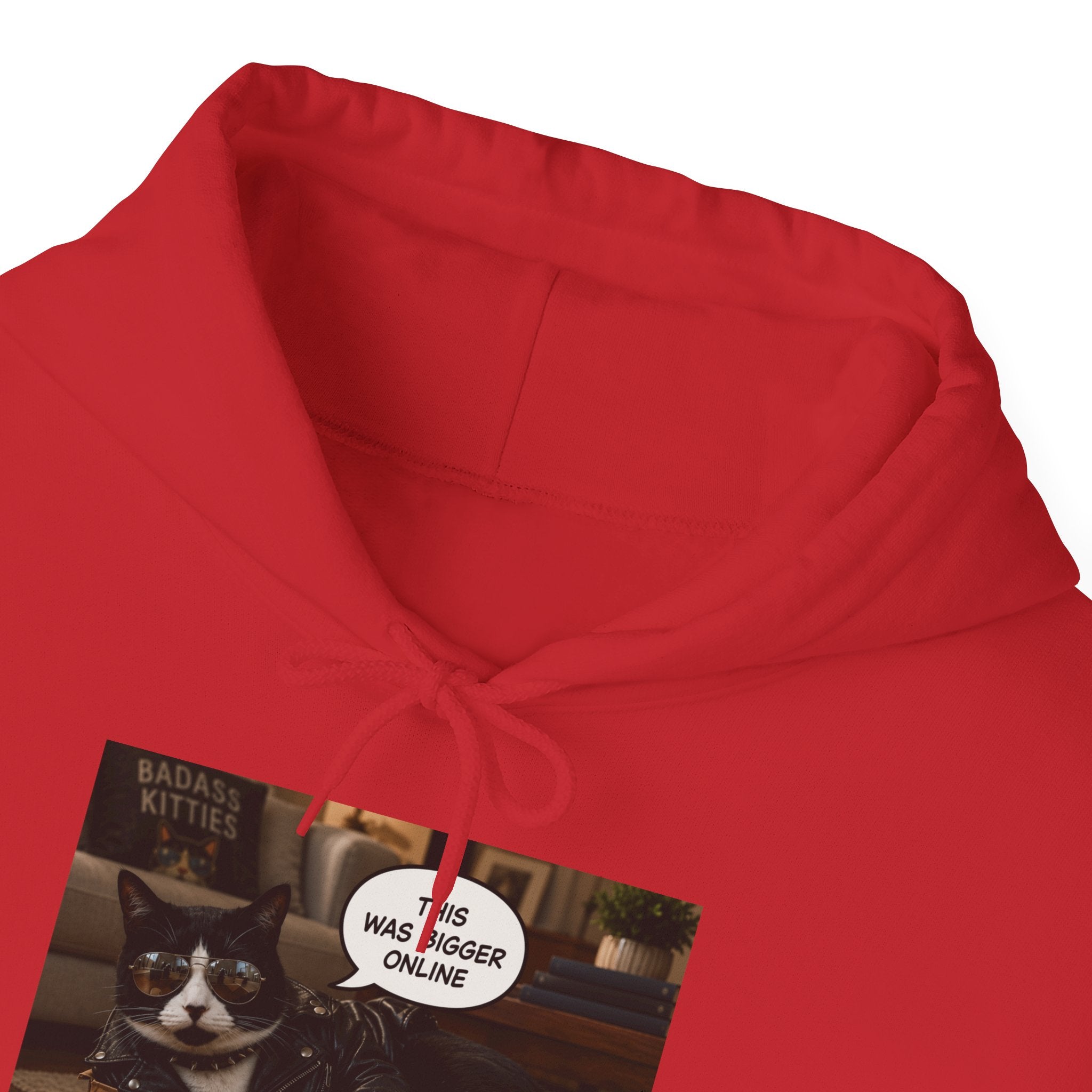 Cat Meme-This Was Bigger Online – Funny Badass Cat Hoodie